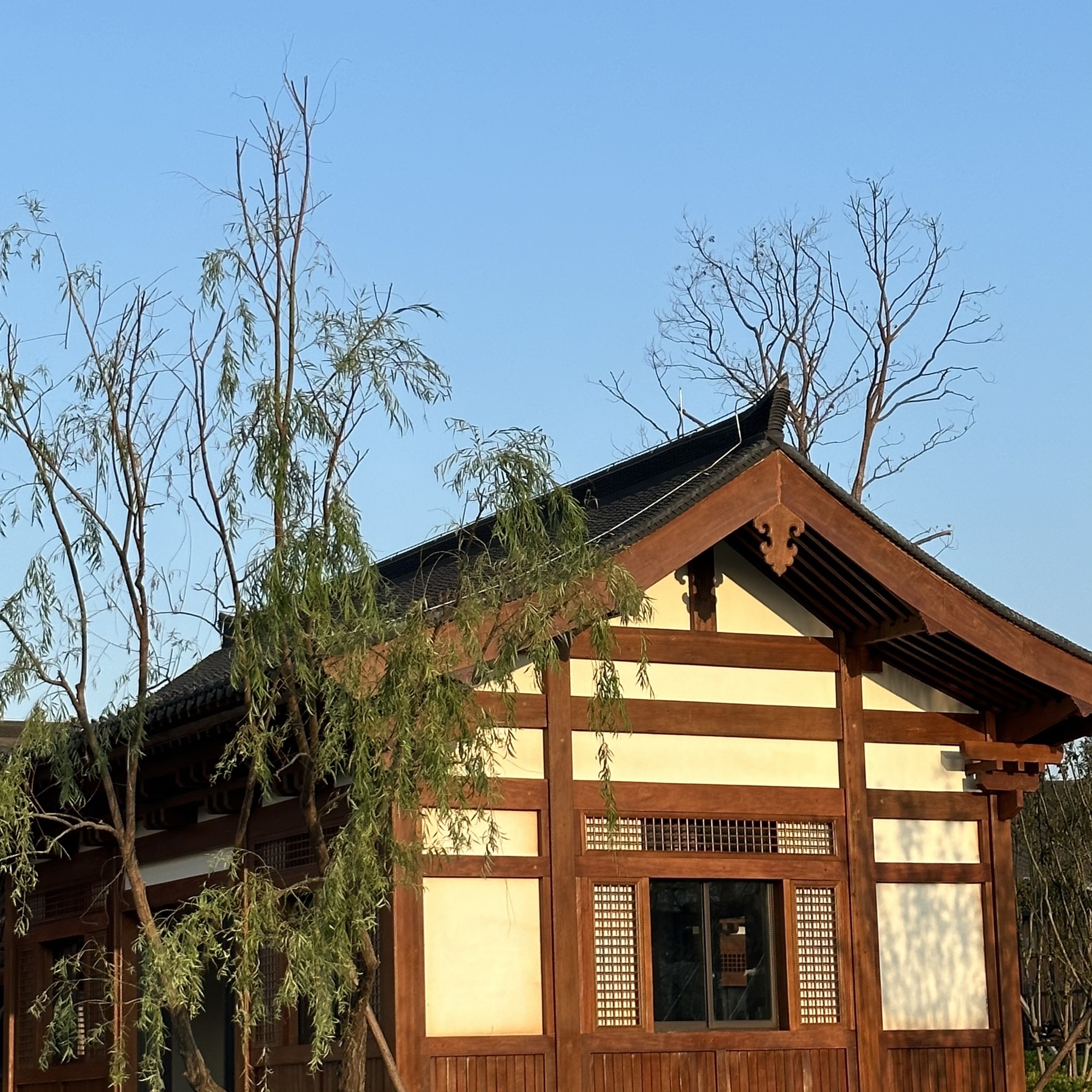 芙峰公园旅行图片 3
