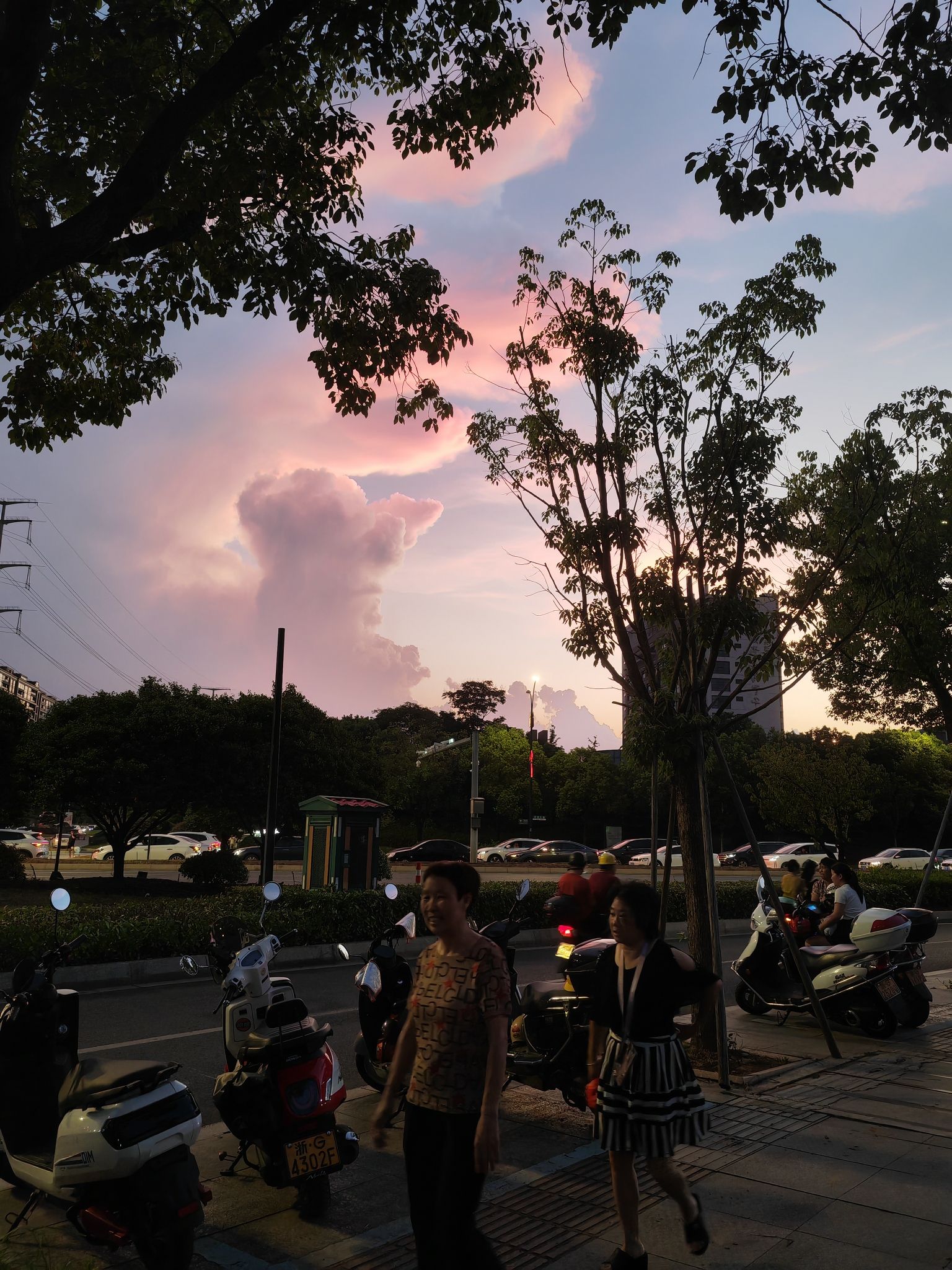 芙峰公园旅行图片 2
