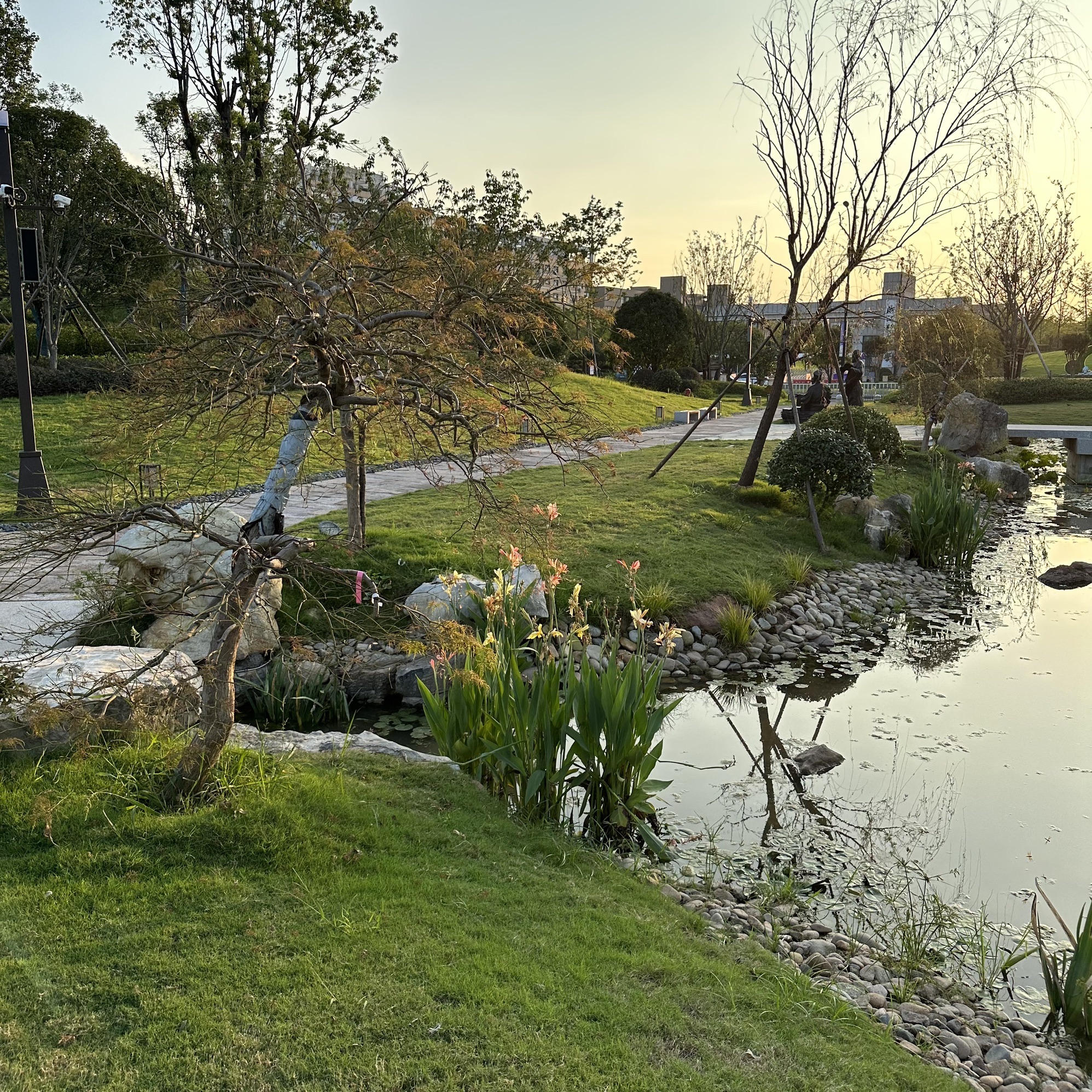 芙峰公园旅行图片 2
