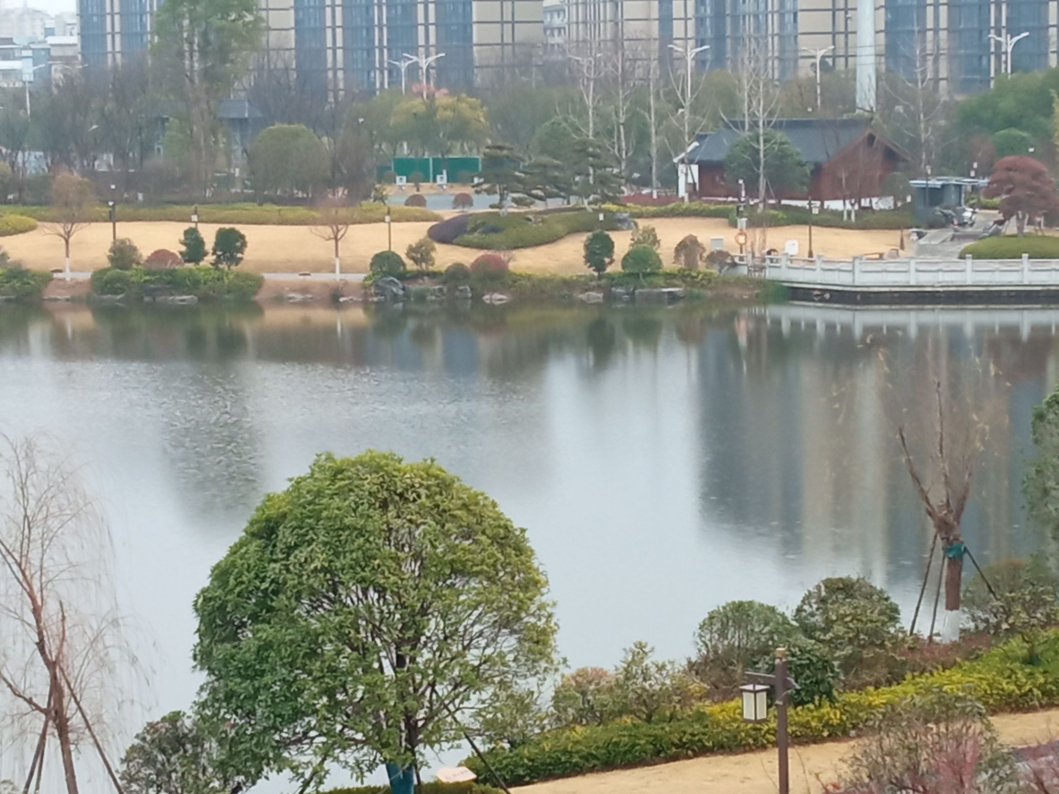 芙峰公园旅行图片 3