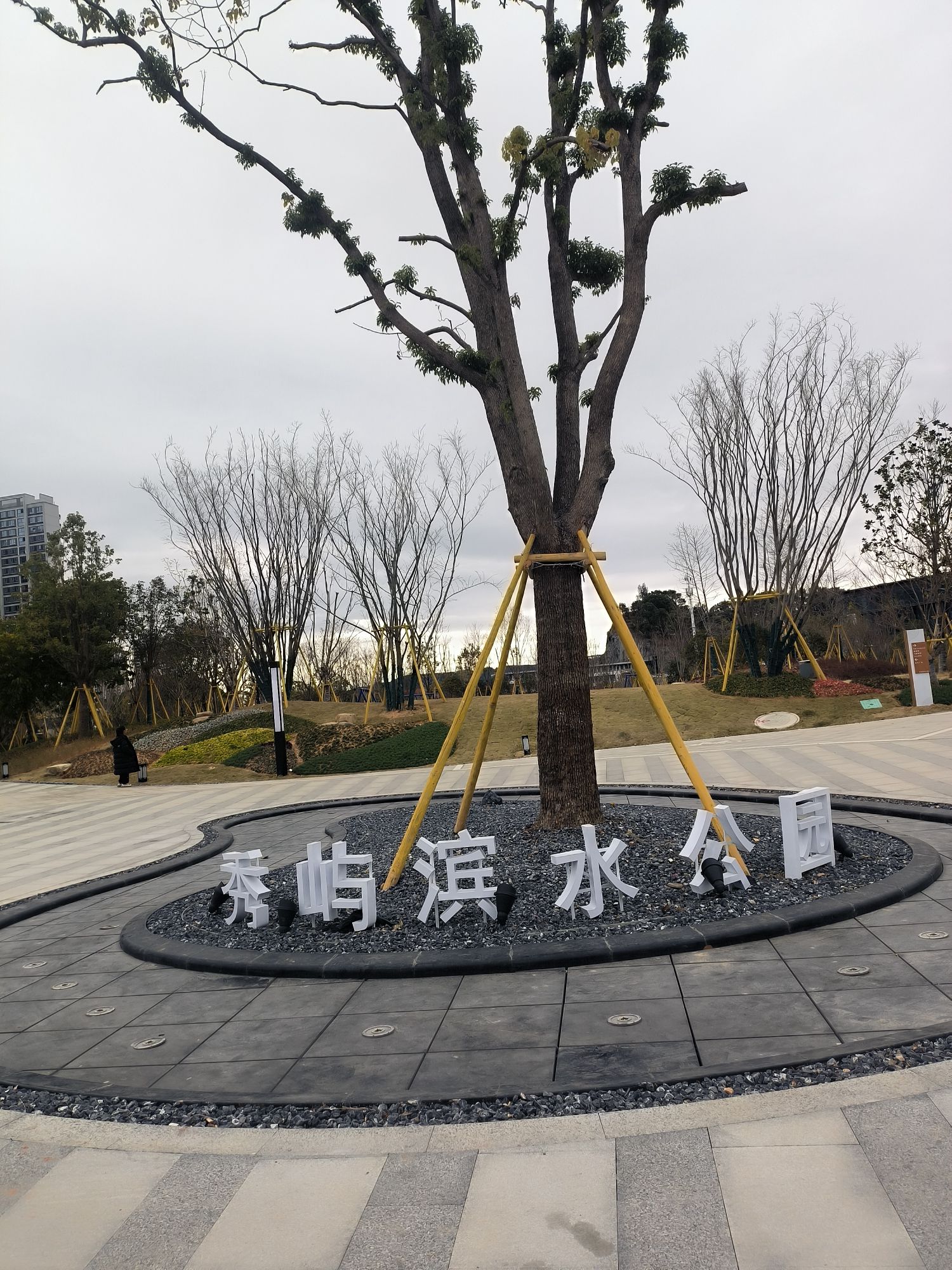 秀屿滨水体育公园旅行图片 1