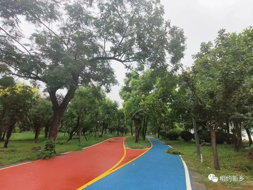 乐赏公园旅行图片 3