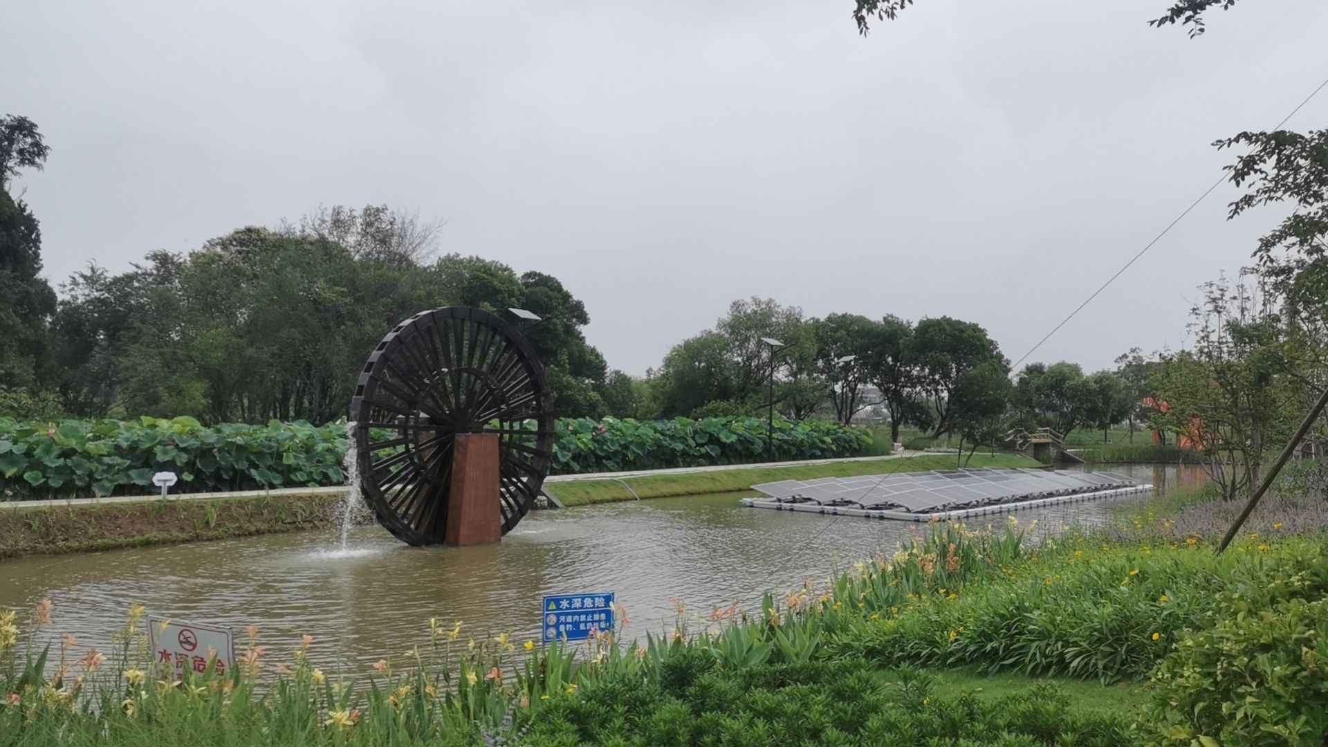 葛庄安全大塘湿地公园旅行图片