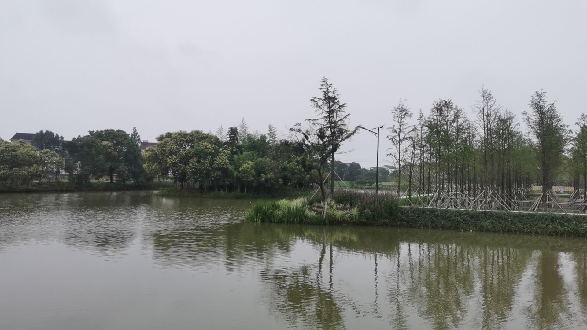 葛庄安全大塘湿地公园旅行图片 3