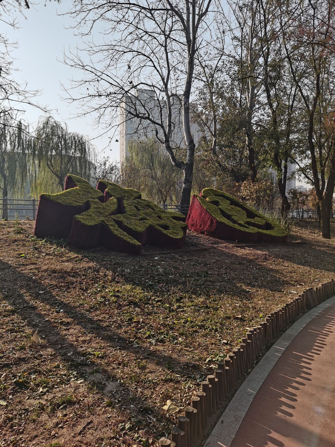胶州梅园旅行图片 1