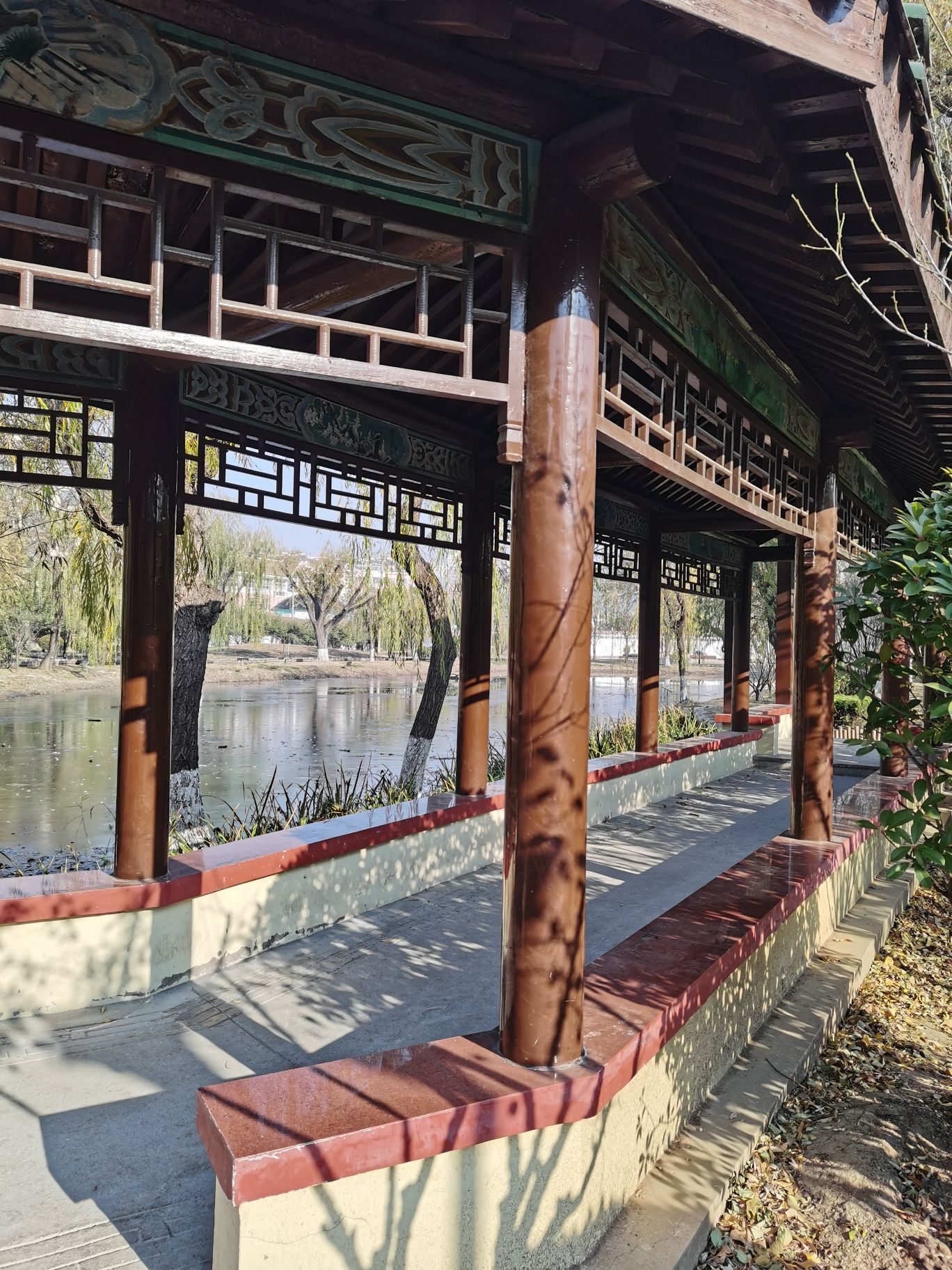 胶州梅园旅行图片 3