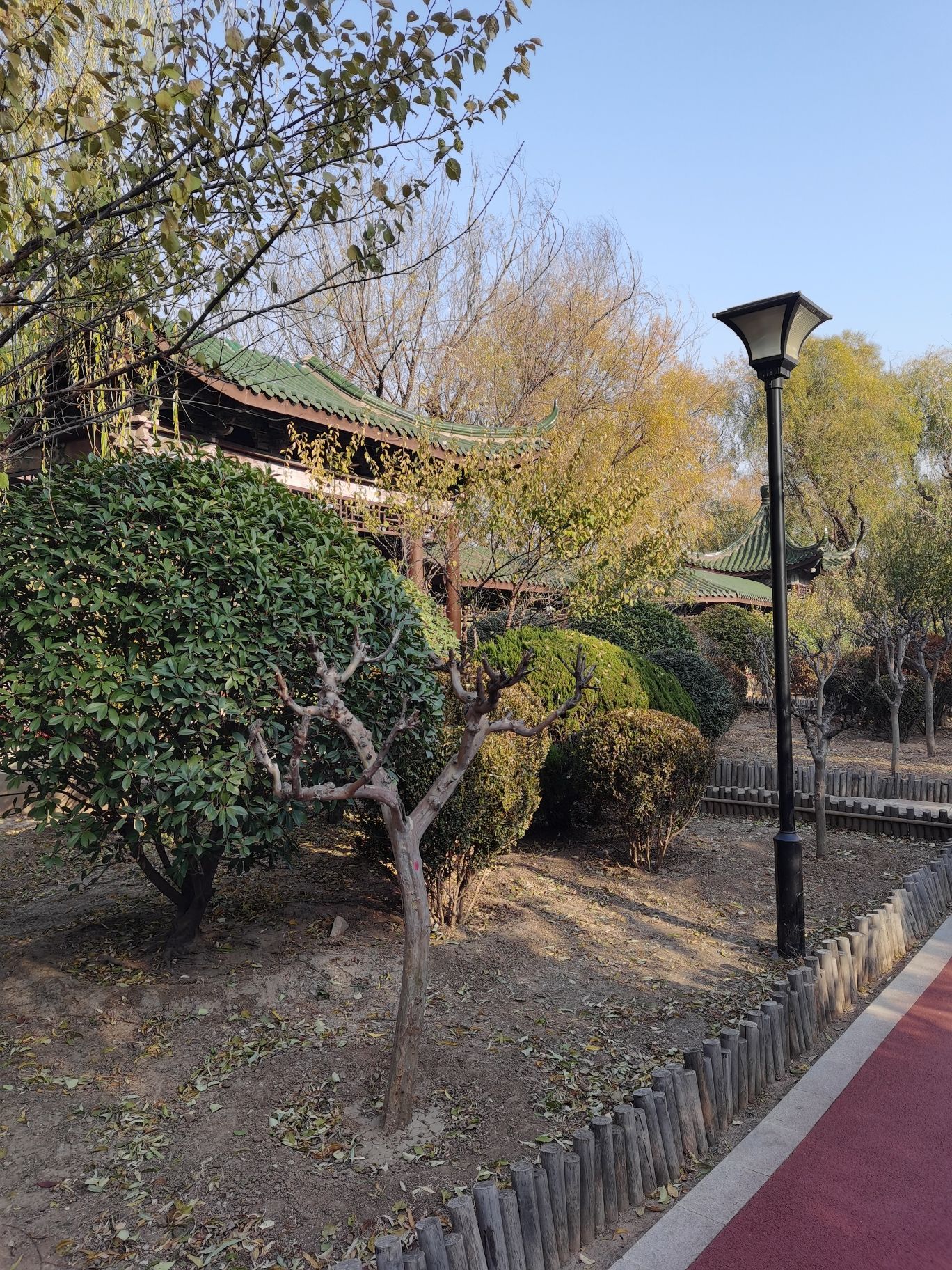 胶州梅园旅行图片 2