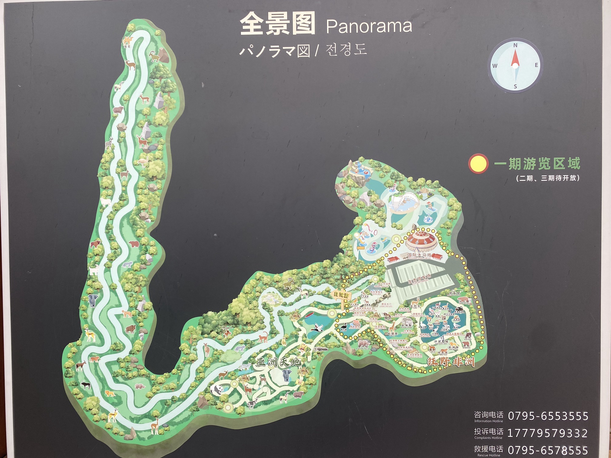 唯美动物世界旅行图片 2