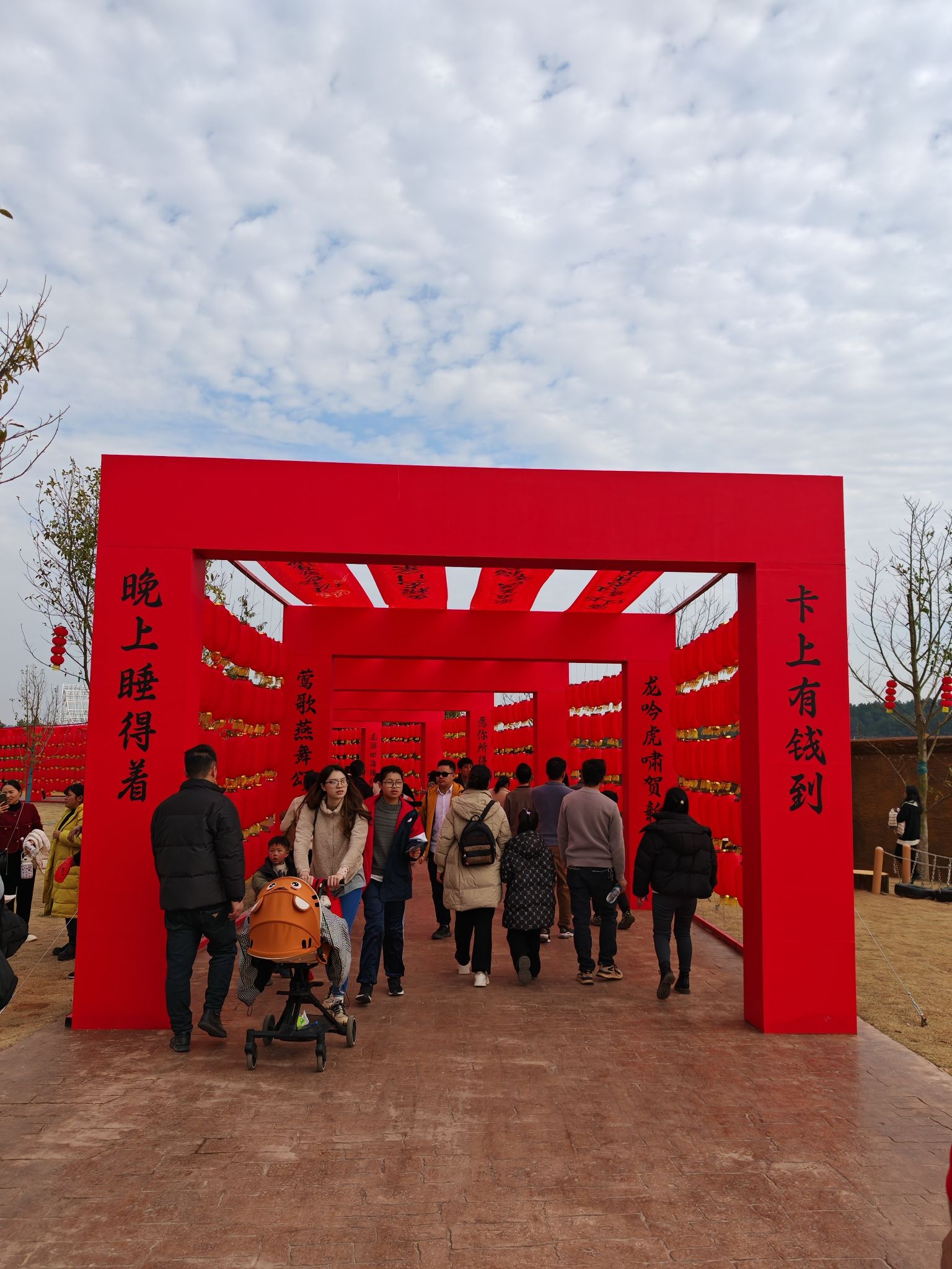 唯美动物世界旅行图片 1