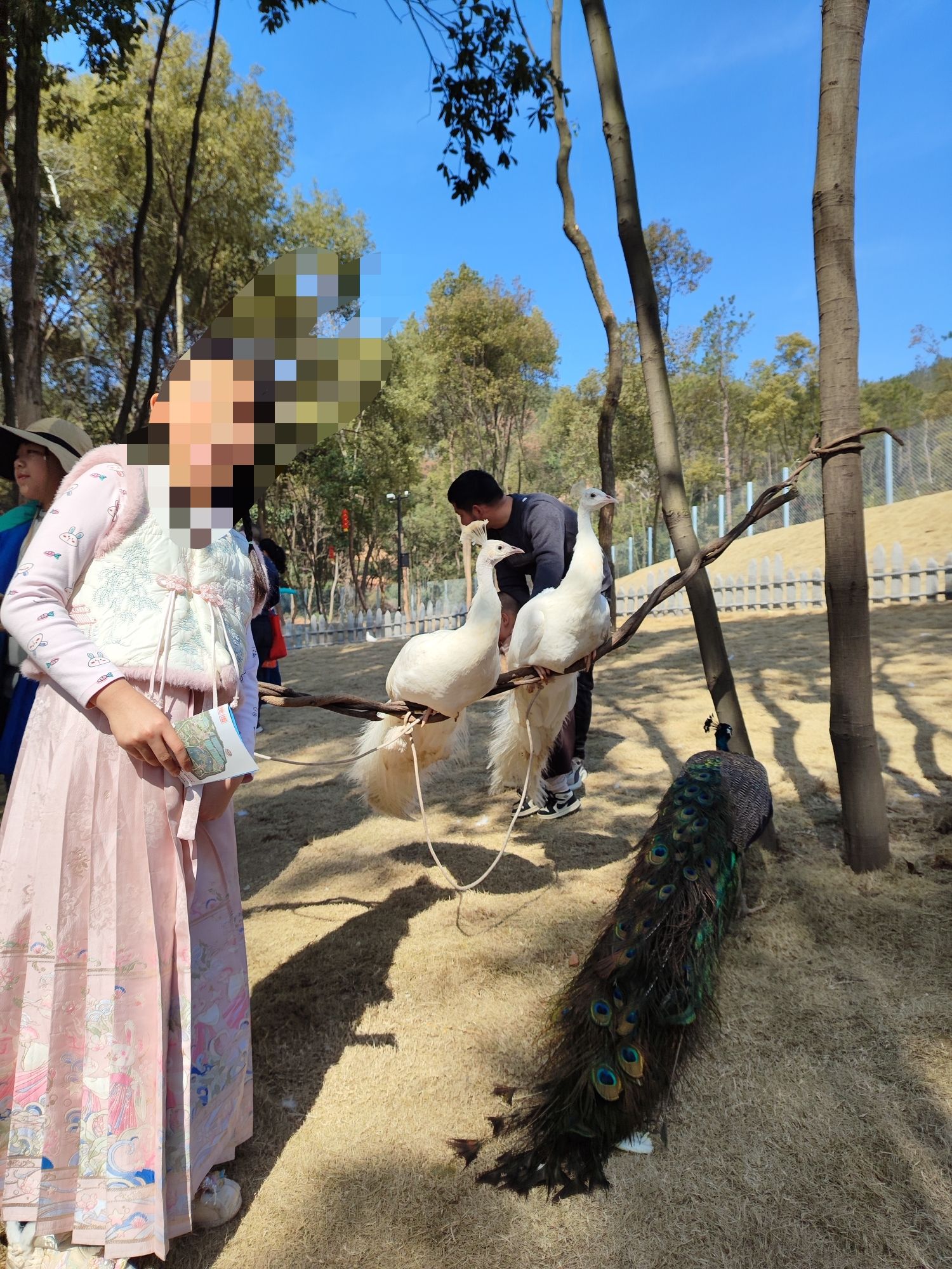 唯美动物世界旅行图片 1