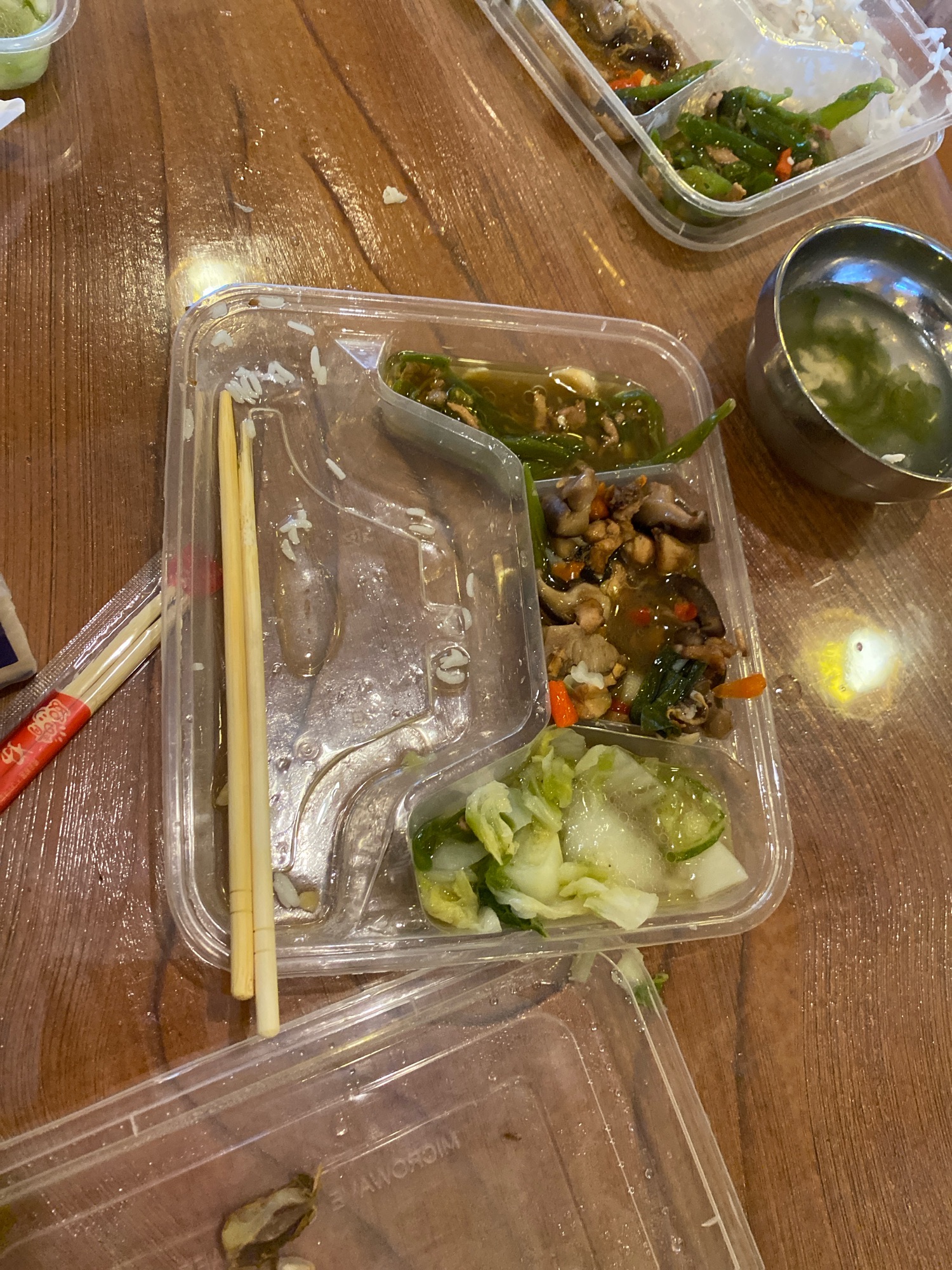 唯美动物世界旅行图片 3