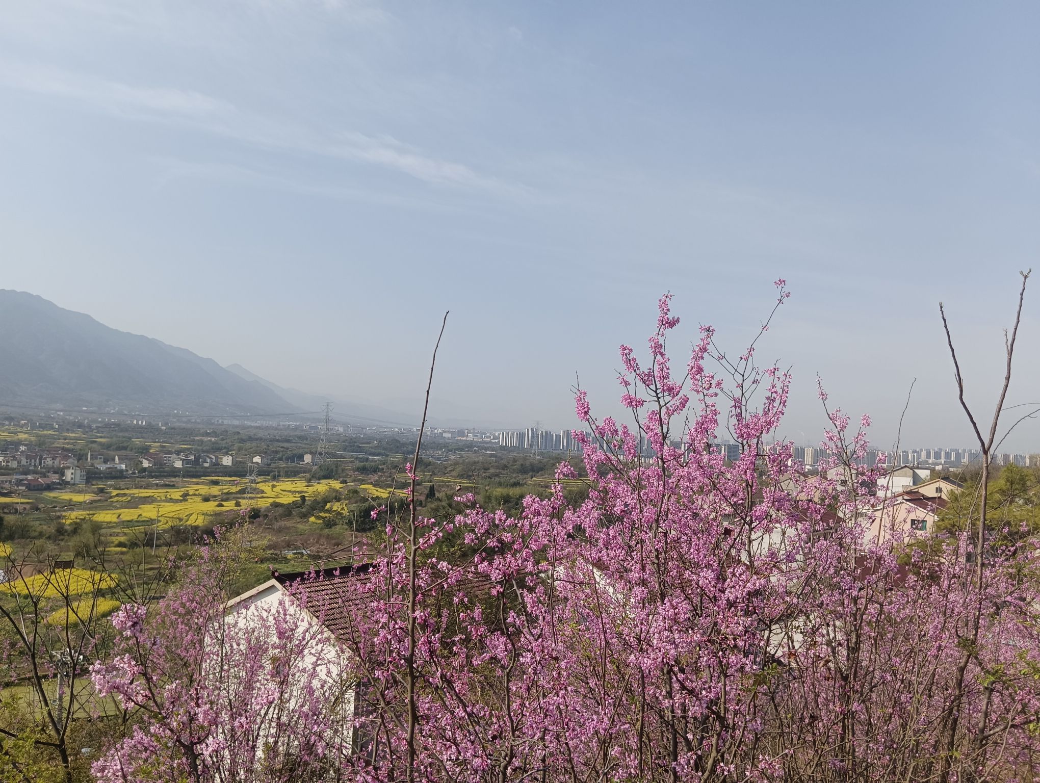 金山寺旅行图片 2