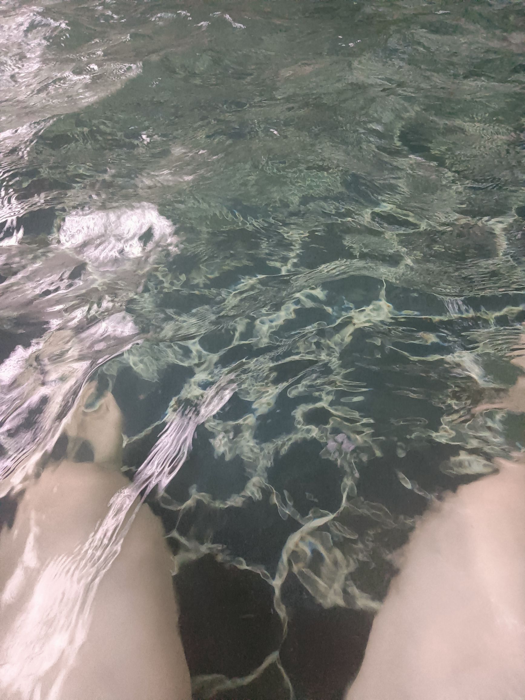 上犹天沐阳明温泉旅行图片 1