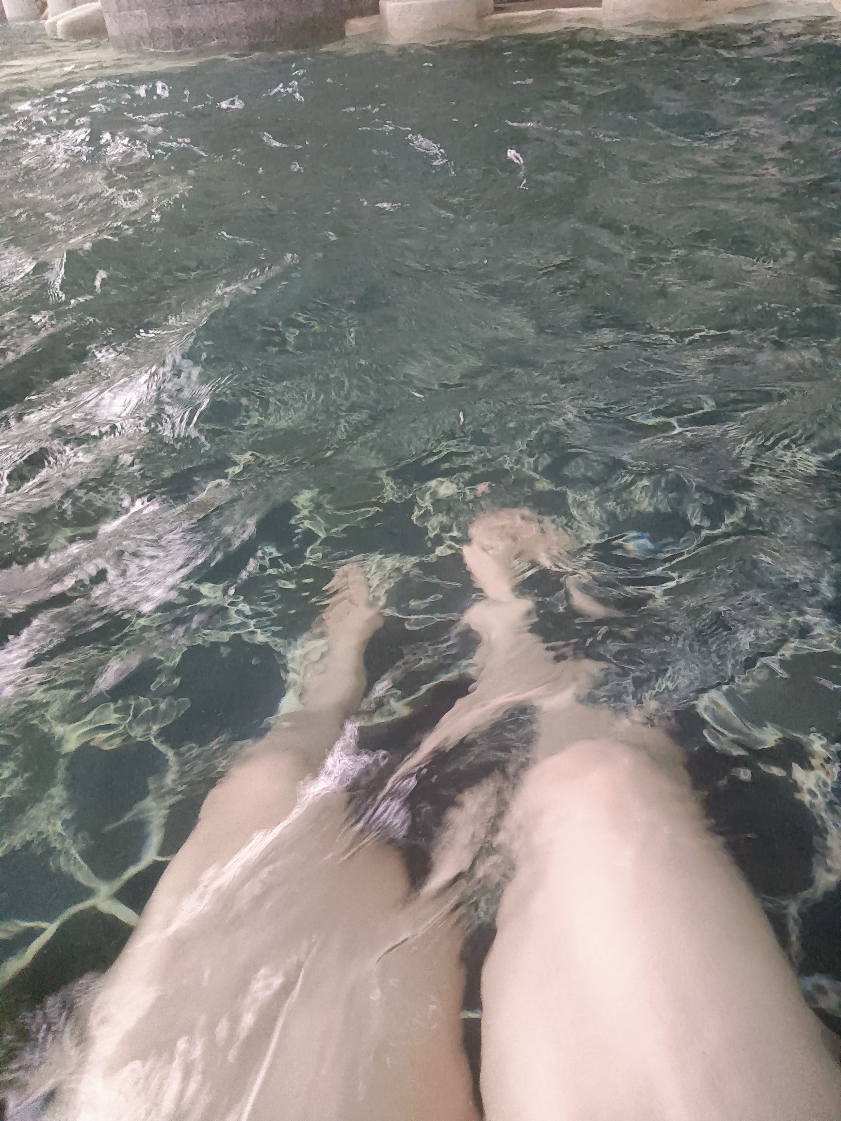 上犹天沐阳明温泉旅行图片 2