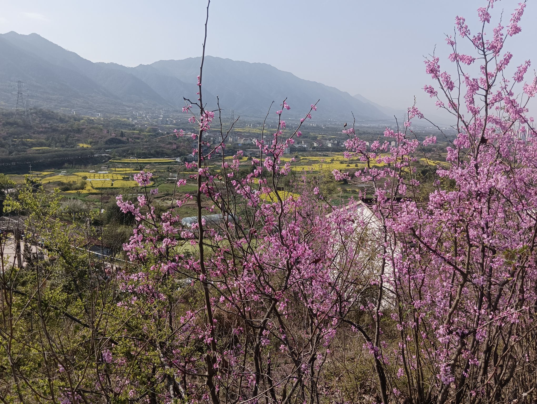 巾山绿道旅行图片 3