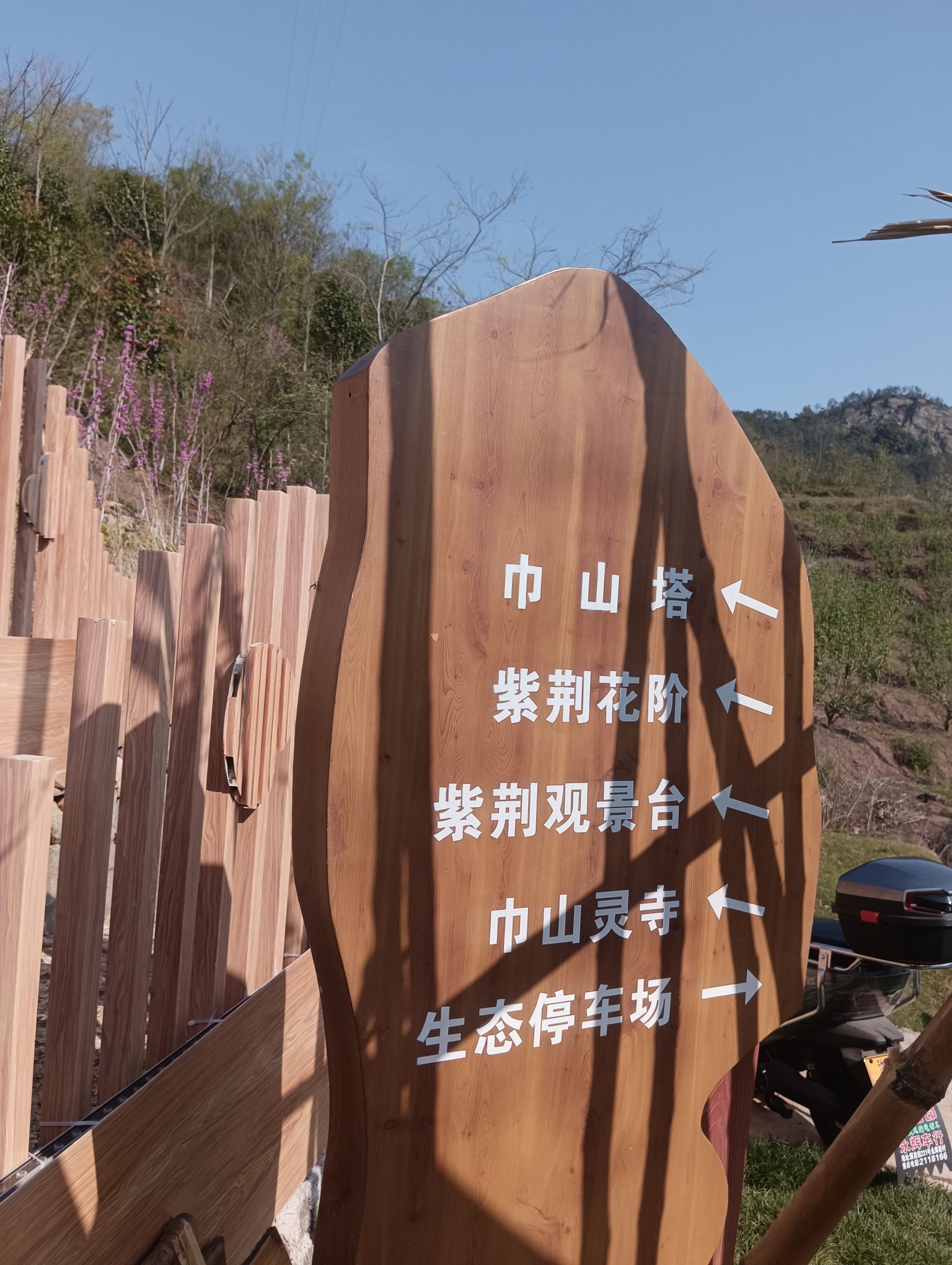 巾山绿道旅行图片 2