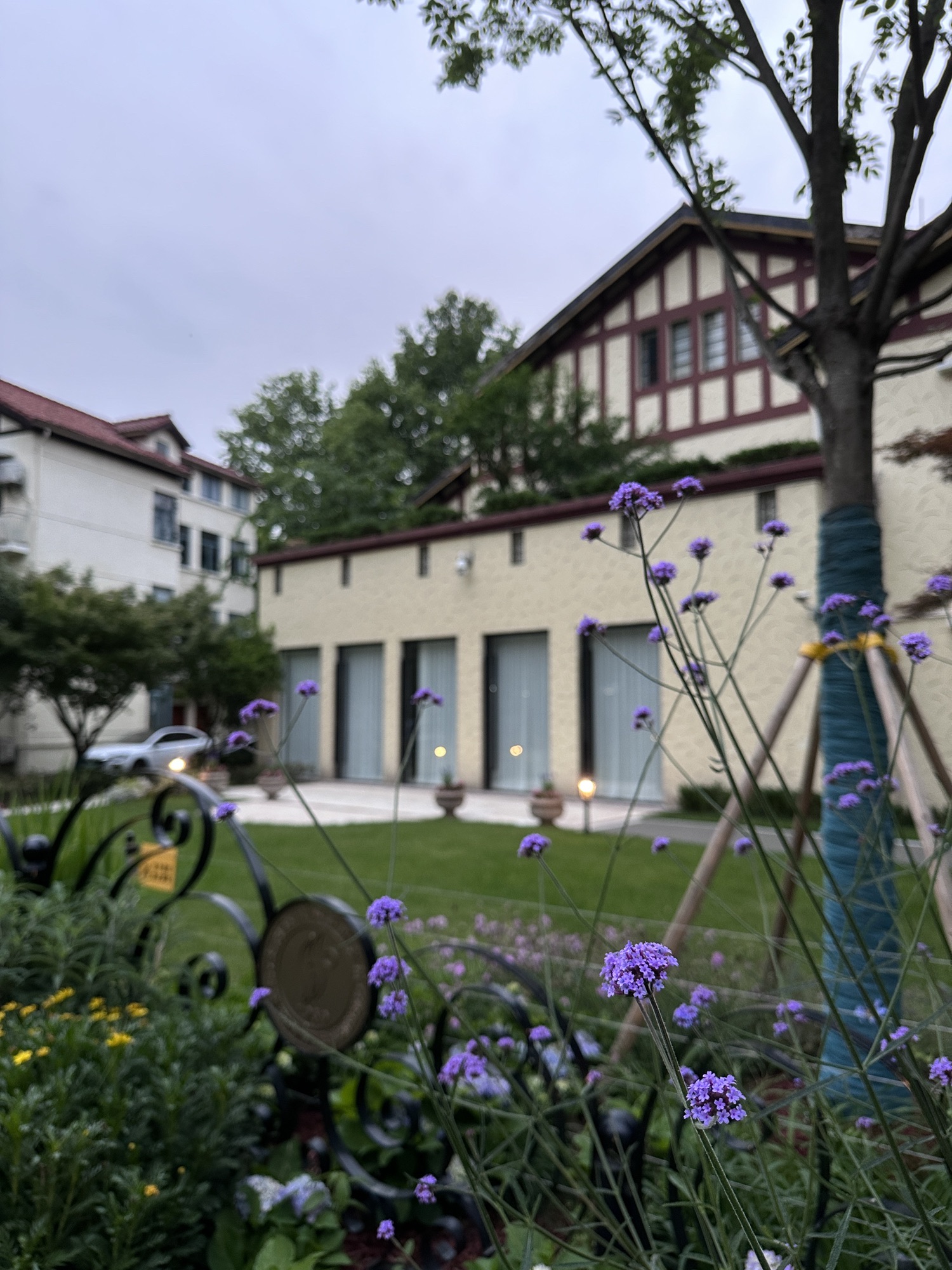 丽波水漾旅行图片 1