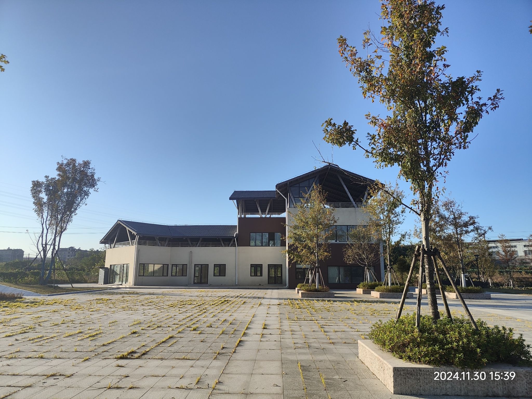 贺村沙洲公园旅行图片 3