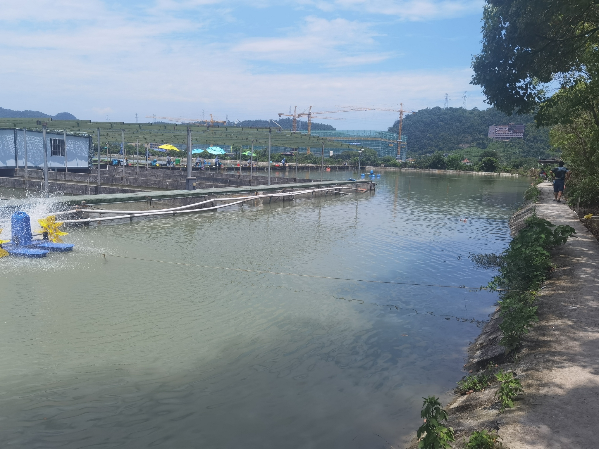 温岭市殿溪路亚基地