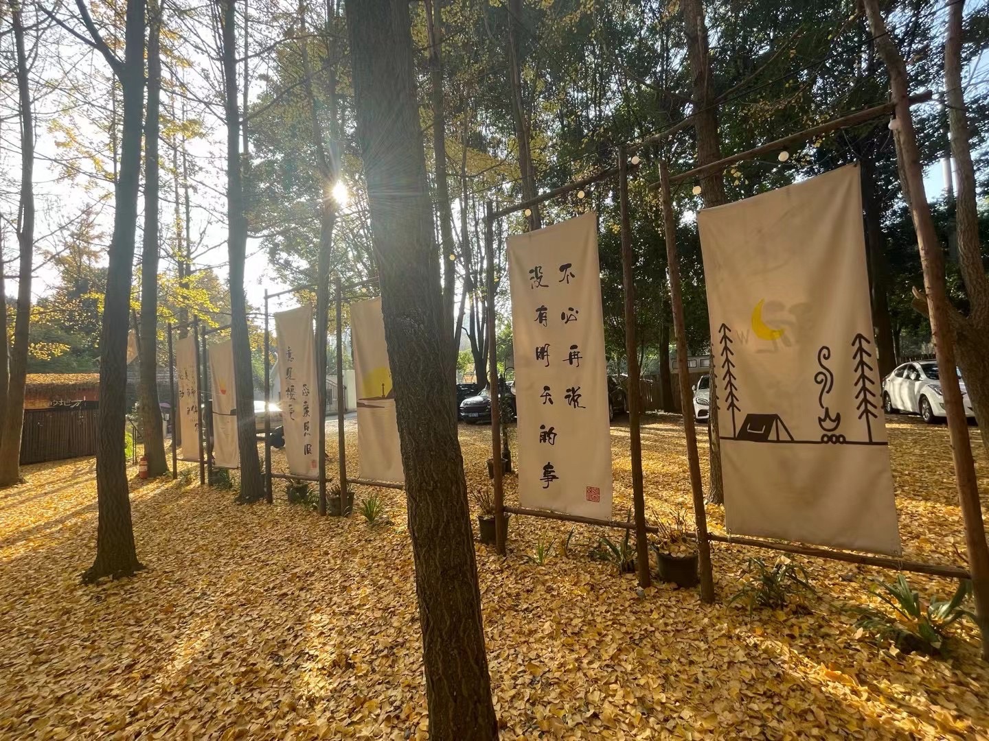 场地封面-拾光坊·自然营地