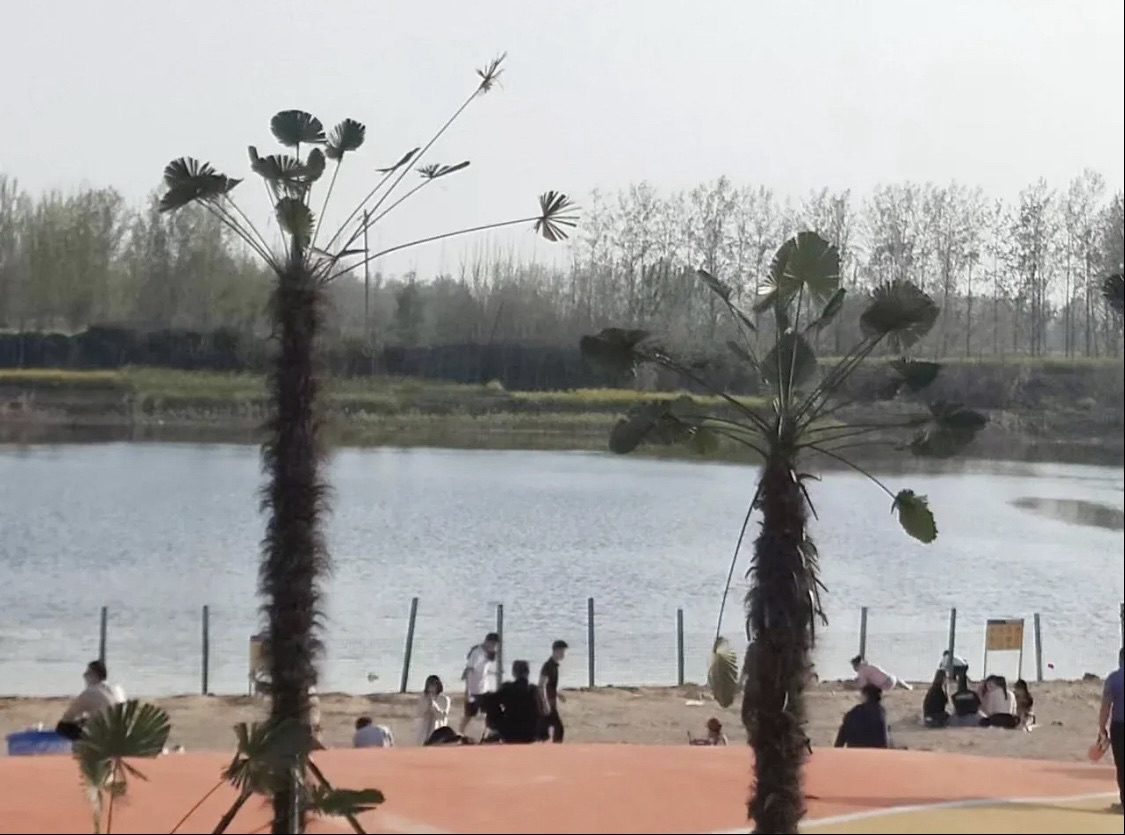 人工沙滩旅行图片 1