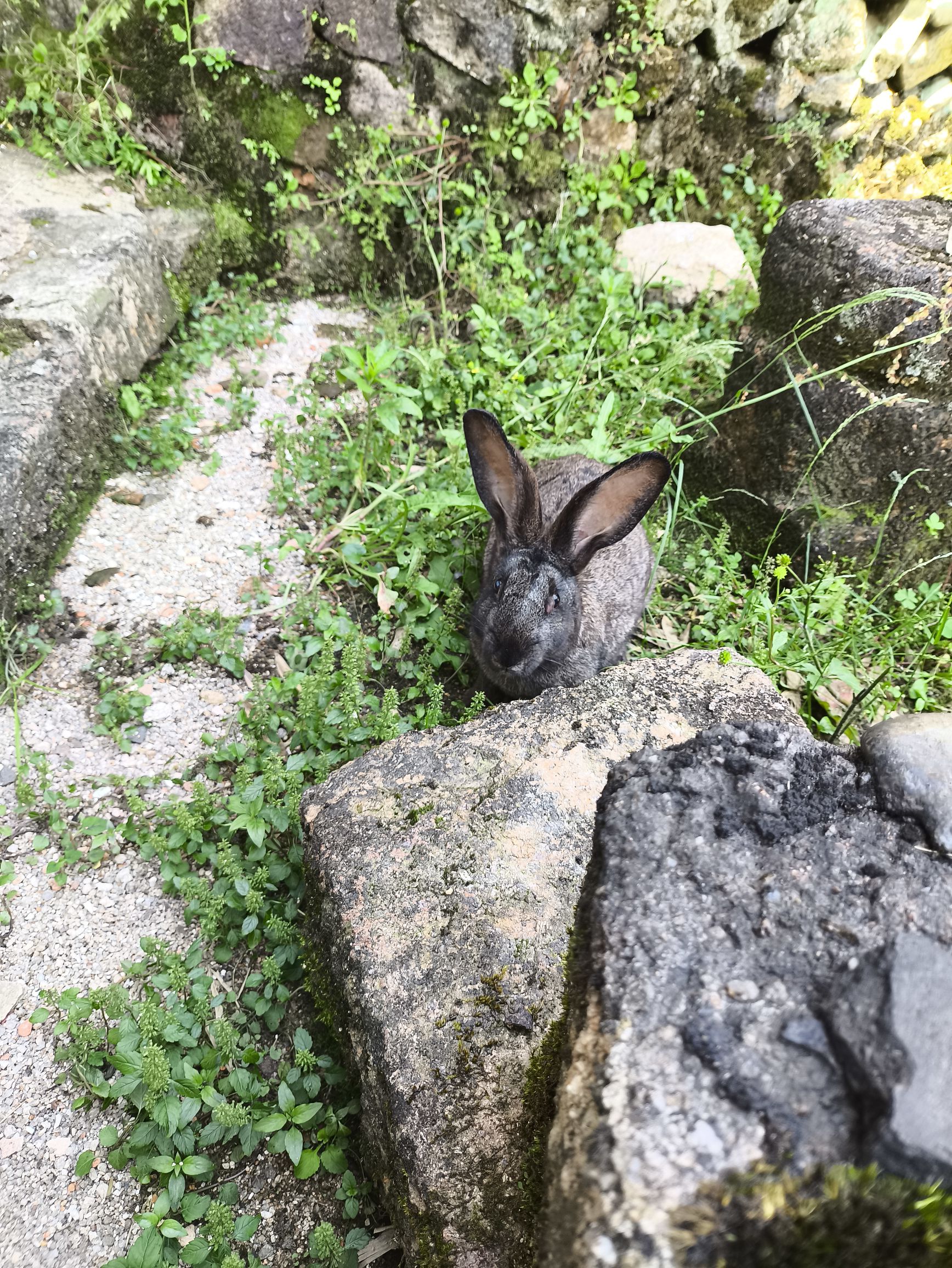 白鹤仙旅行图片 2