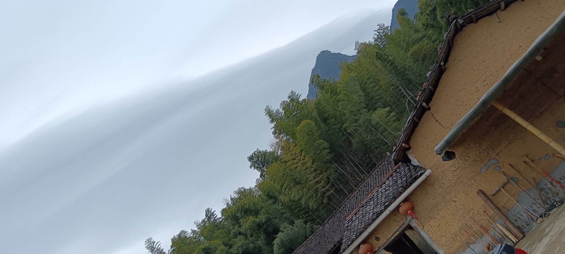 白鹤仙旅行图片 3