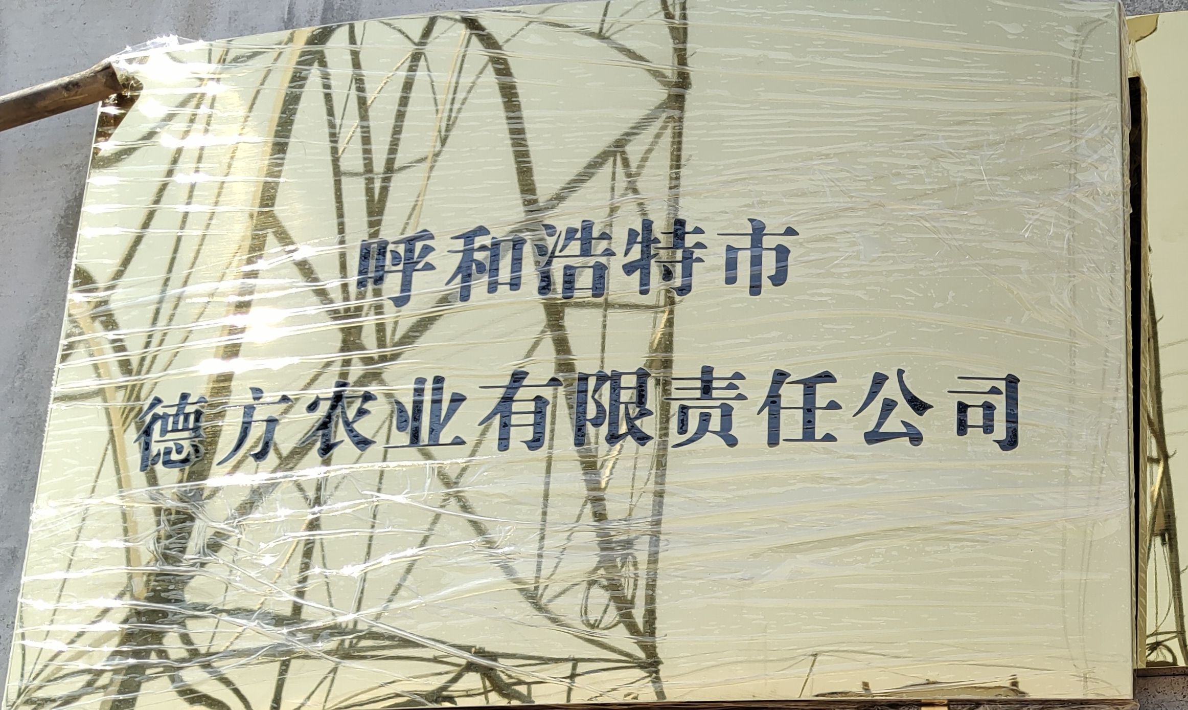 呼和浩特市德方农业有限责任公司