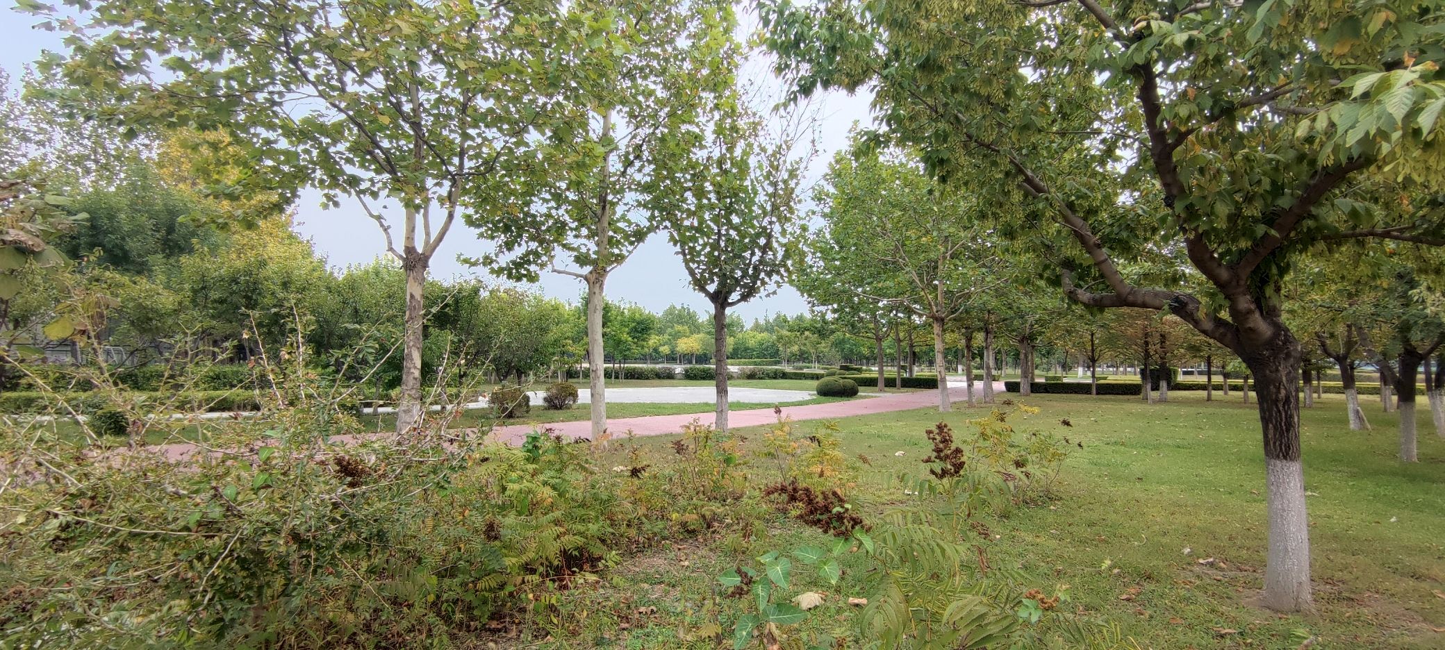 C立方运动公园旅行图片 3
