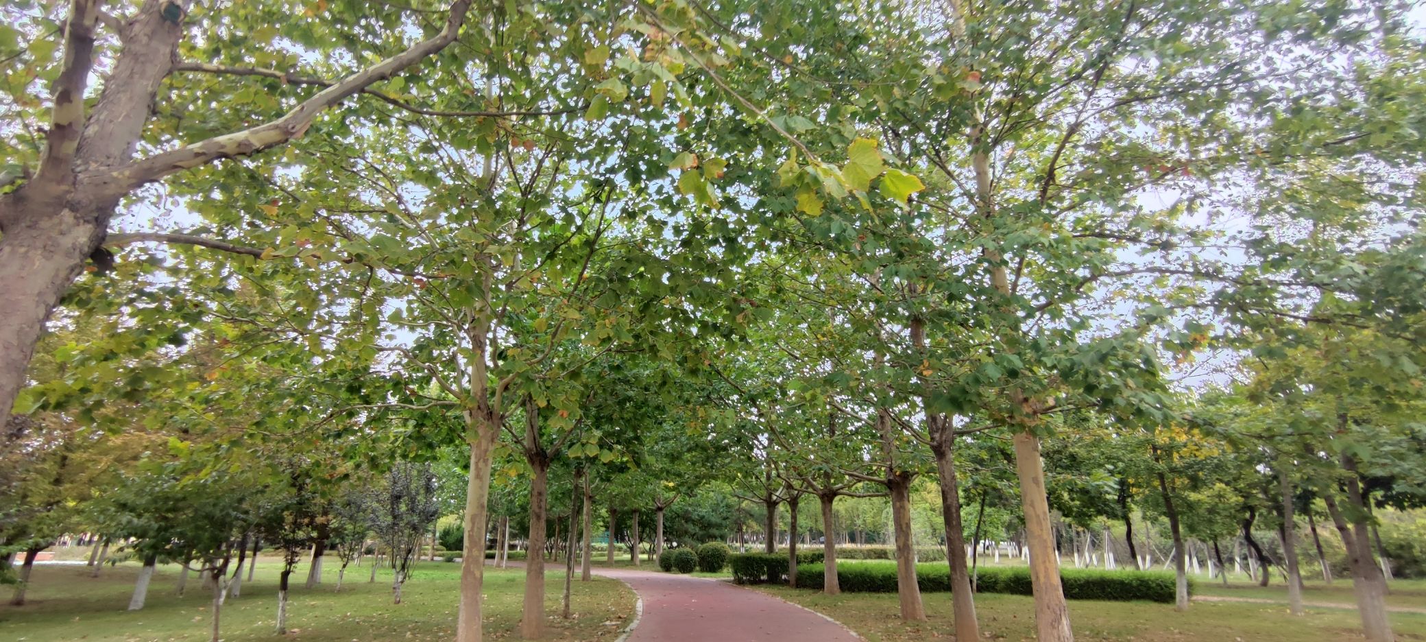 C立方运动公园旅行图片 1