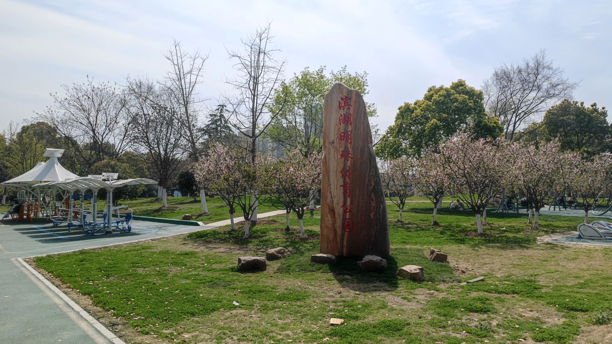 滨湖明珠体育公园旅行图片 1