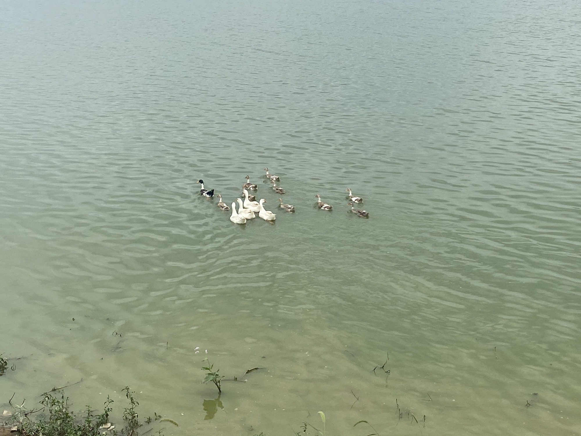 水梦南湖旅游休闲街区旅行图片 1