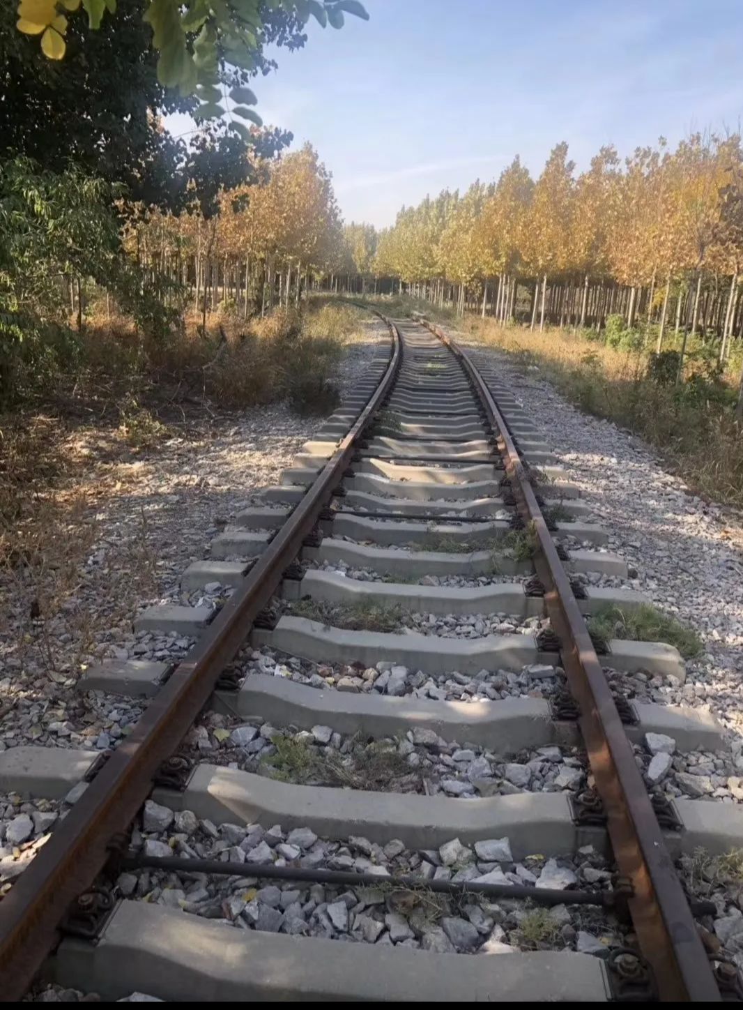 铁北公园旅行图片 1