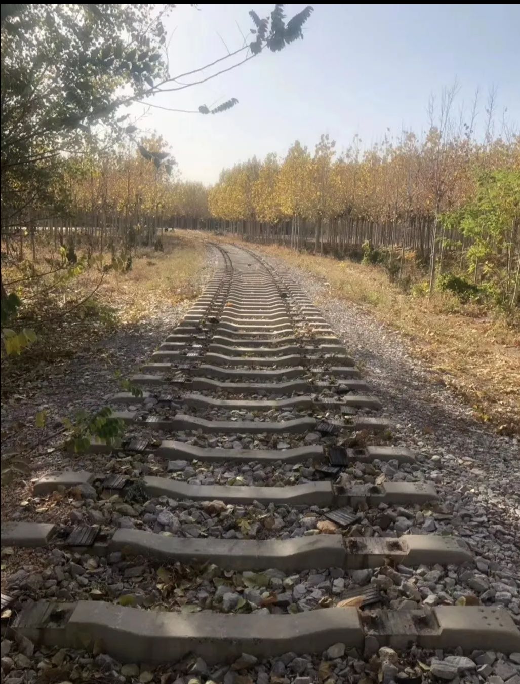 铁北公园旅行图片 2