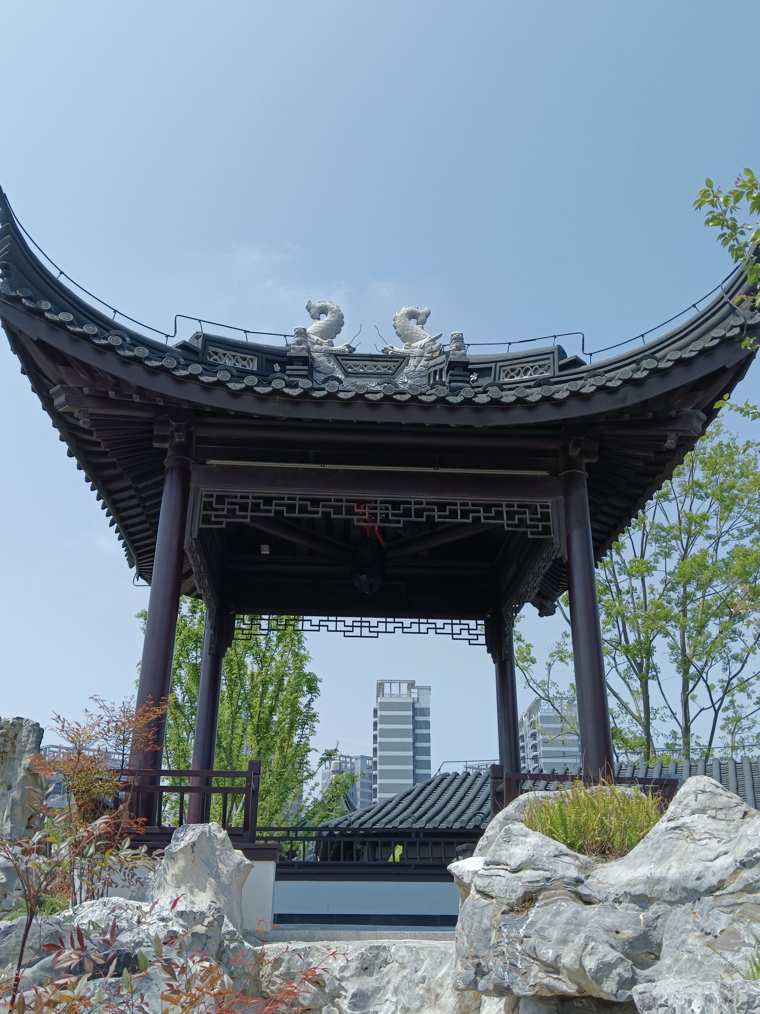 莫比乌斯公园旅行图片 2