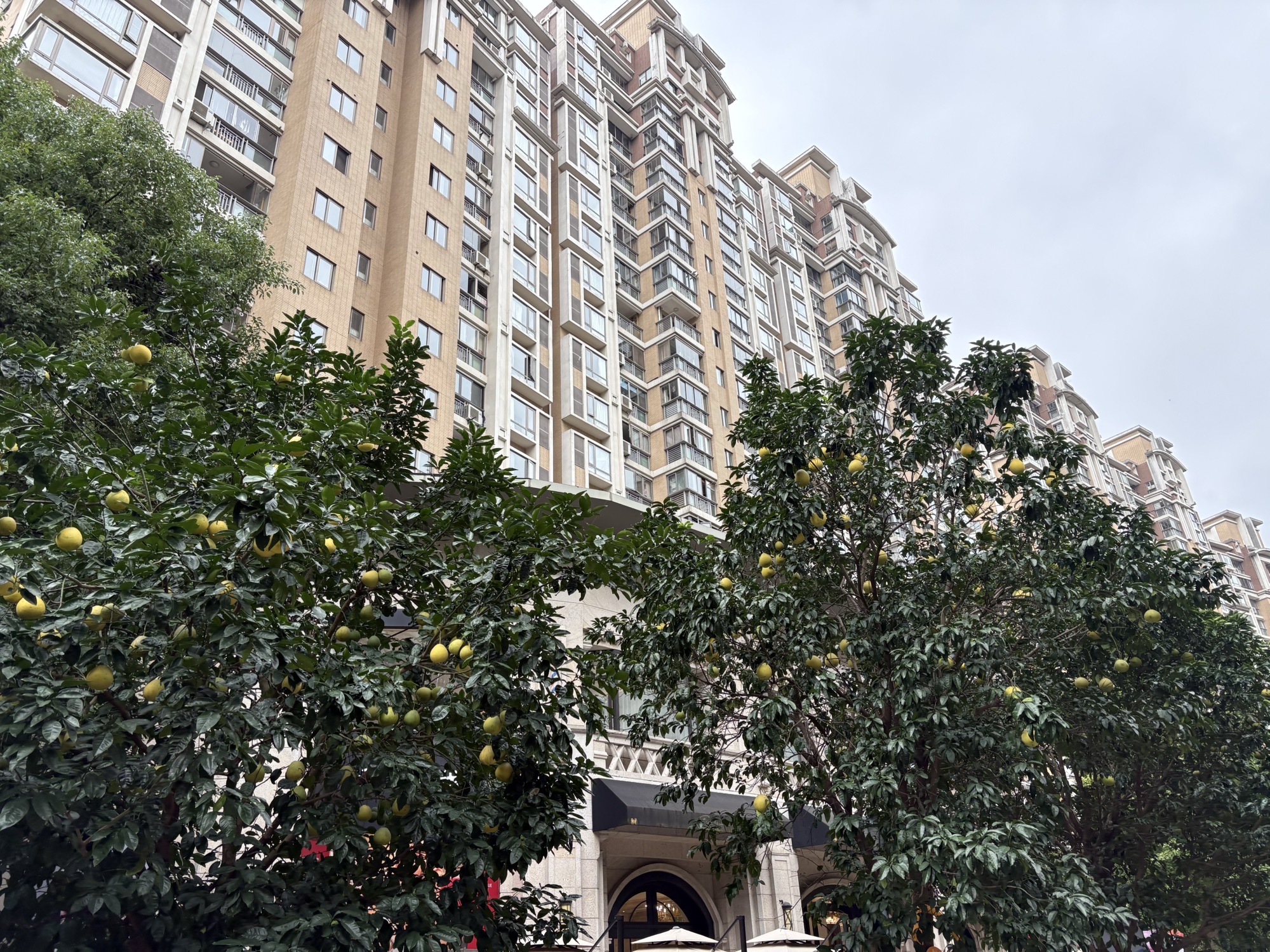 古北市民公园旅行图片 2