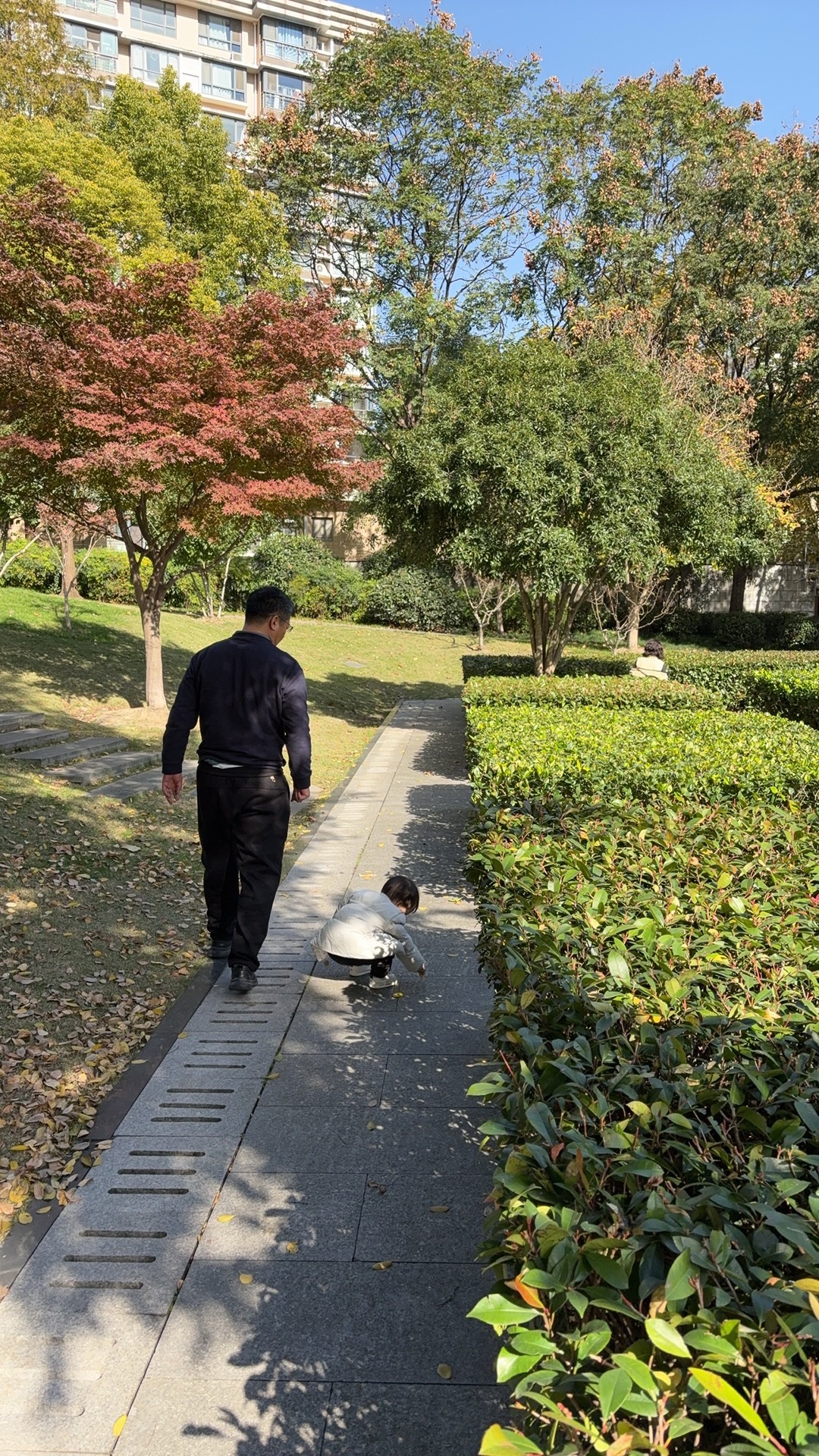 古北市民公园旅行图片 1