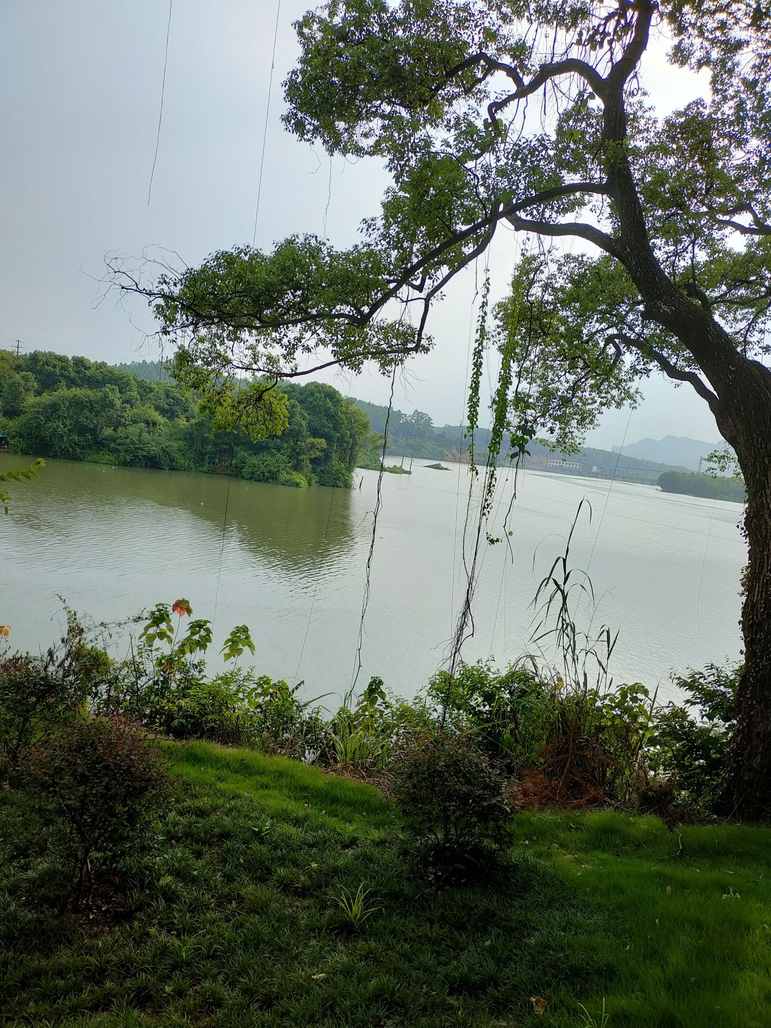 仁化风铃公园旅行图片 1