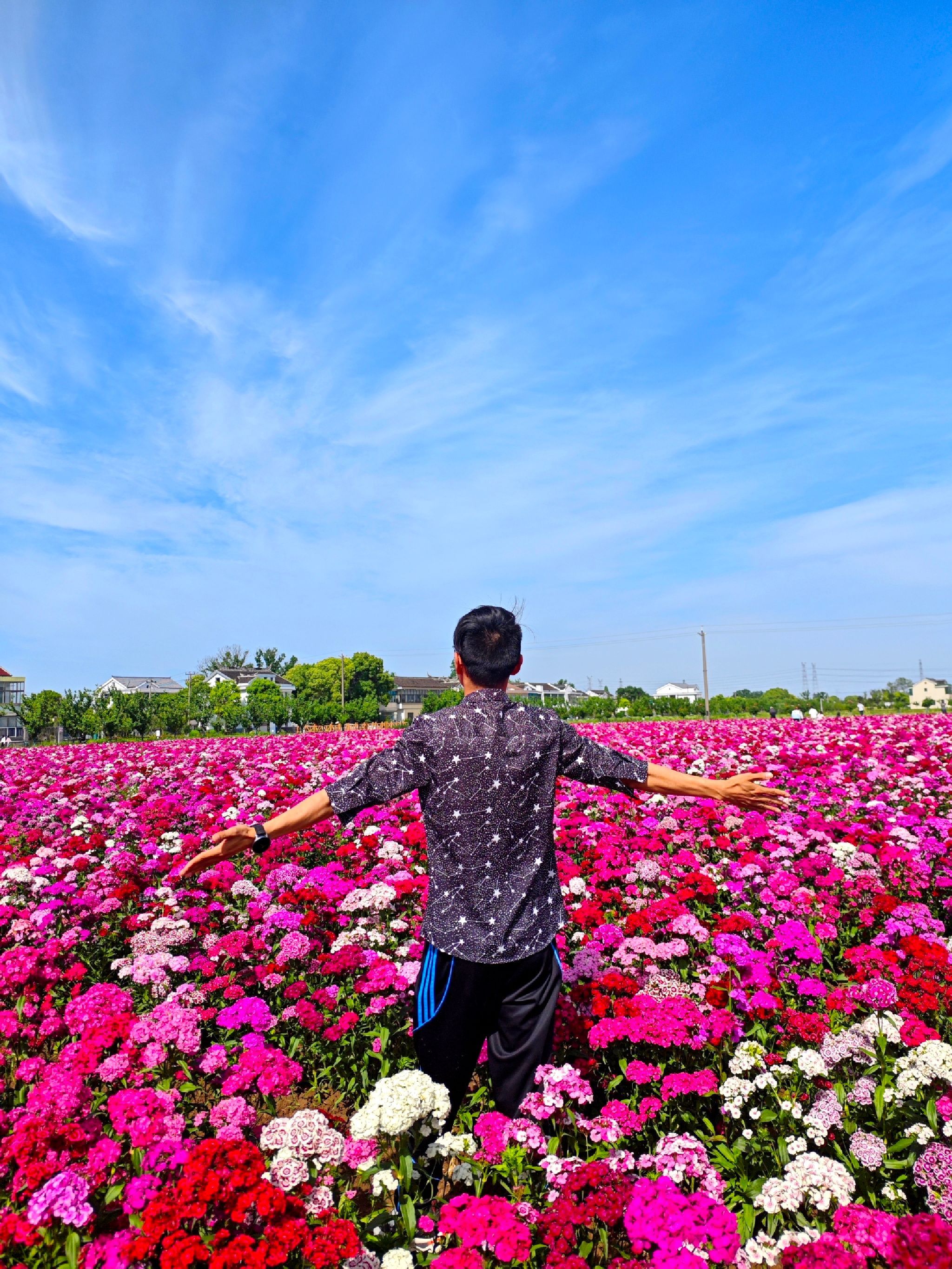 善见花海旅行图片 1