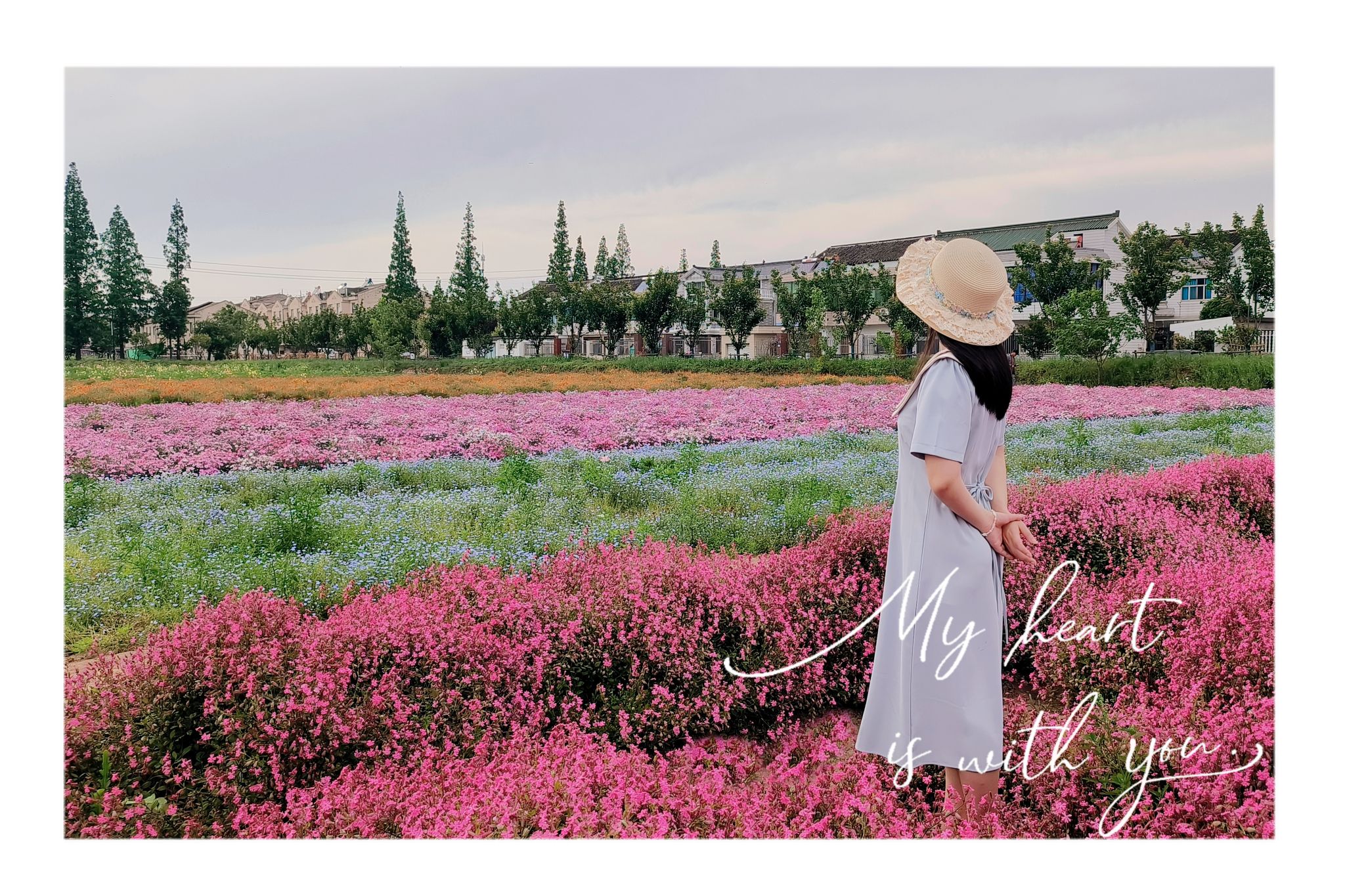 善见花海旅行图片 1