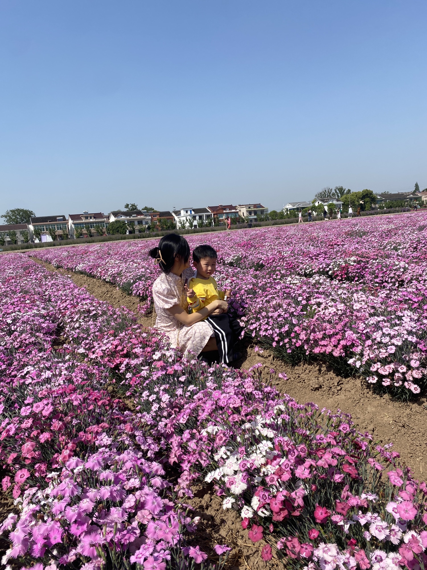 善见花海旅行图片 3