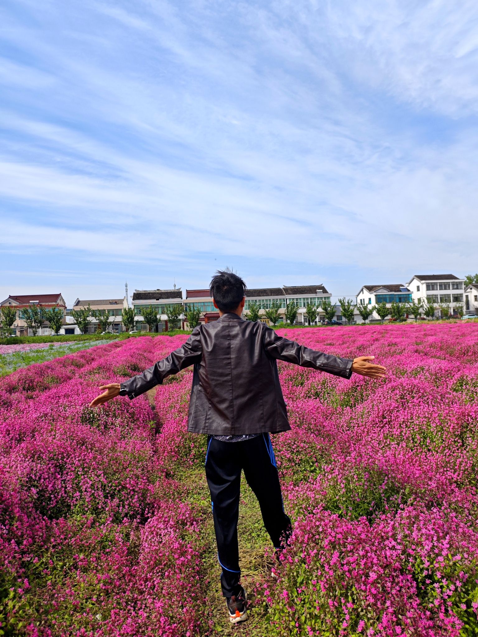 善见花海旅行图片 2