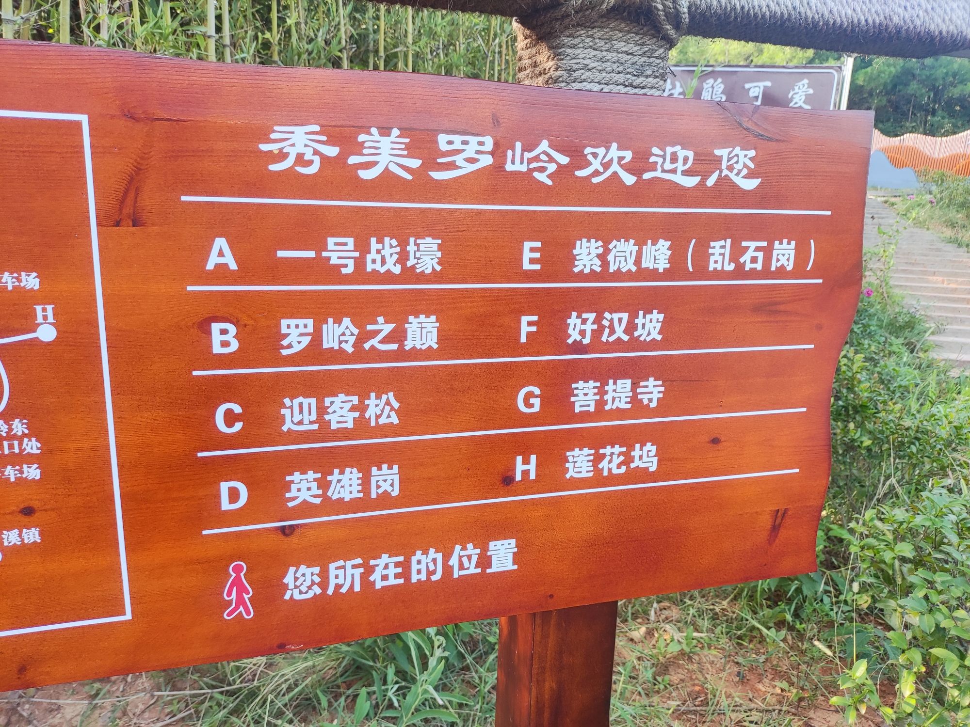 罗溪镇金花公园旅行图片 2