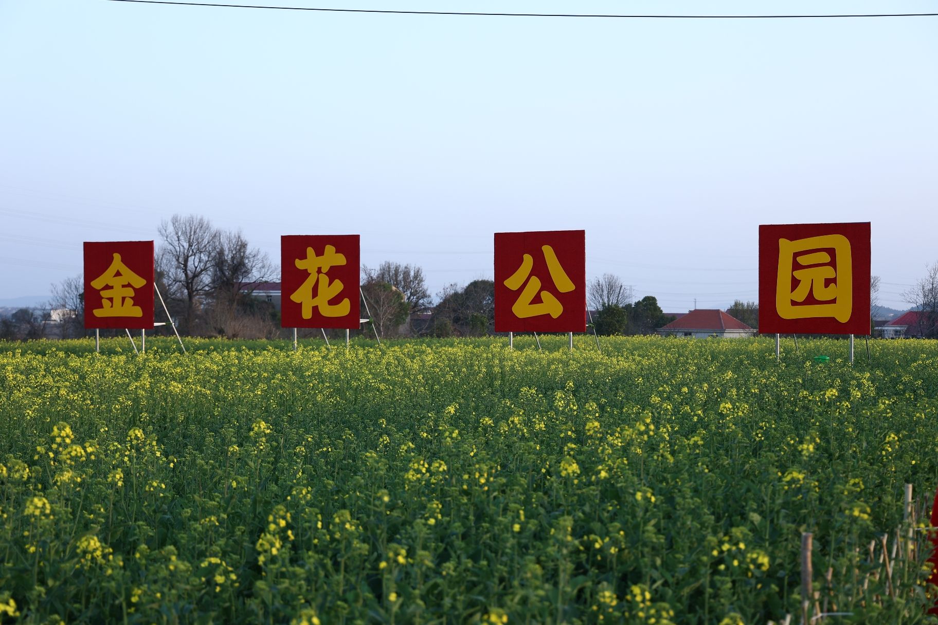 罗溪镇金花公园旅行图片 1