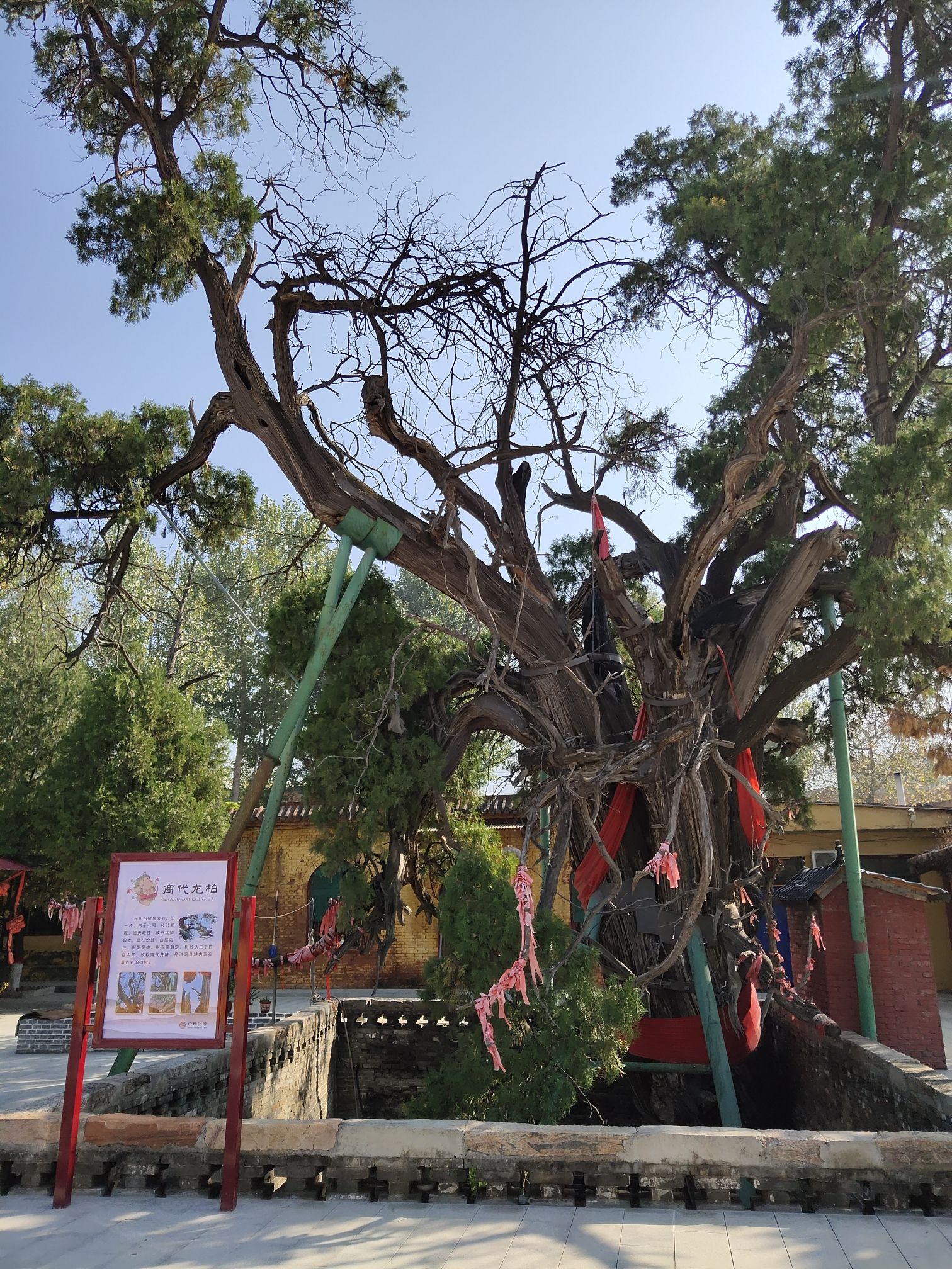 柏泉寺旅行图片 3