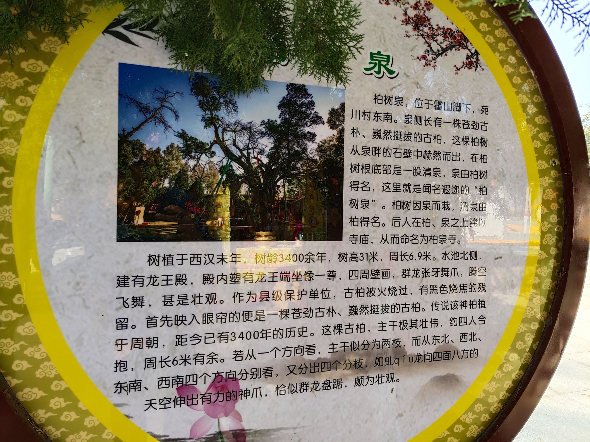 柏泉寺旅行图片 2