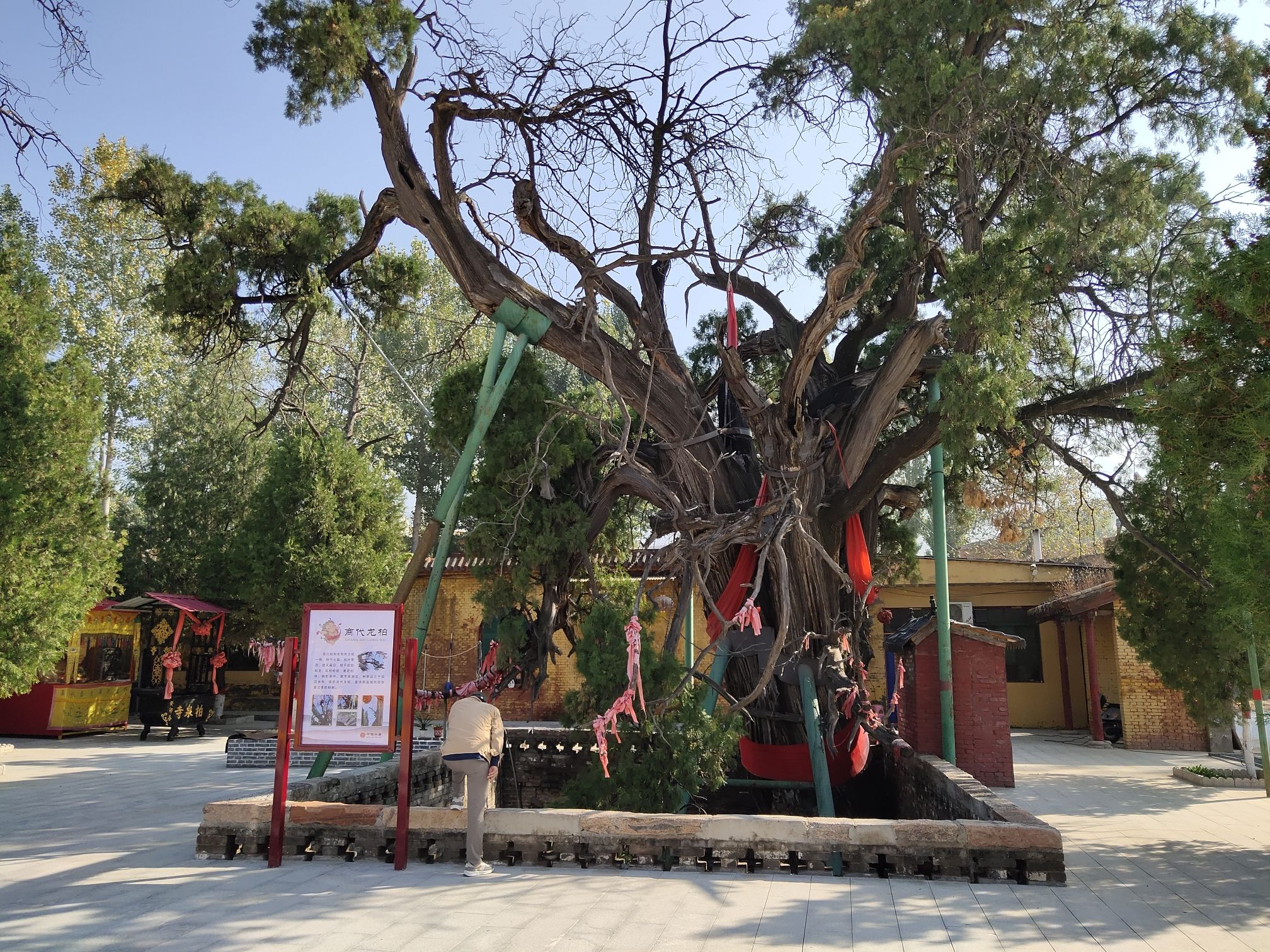 柏泉寺旅行图片 1