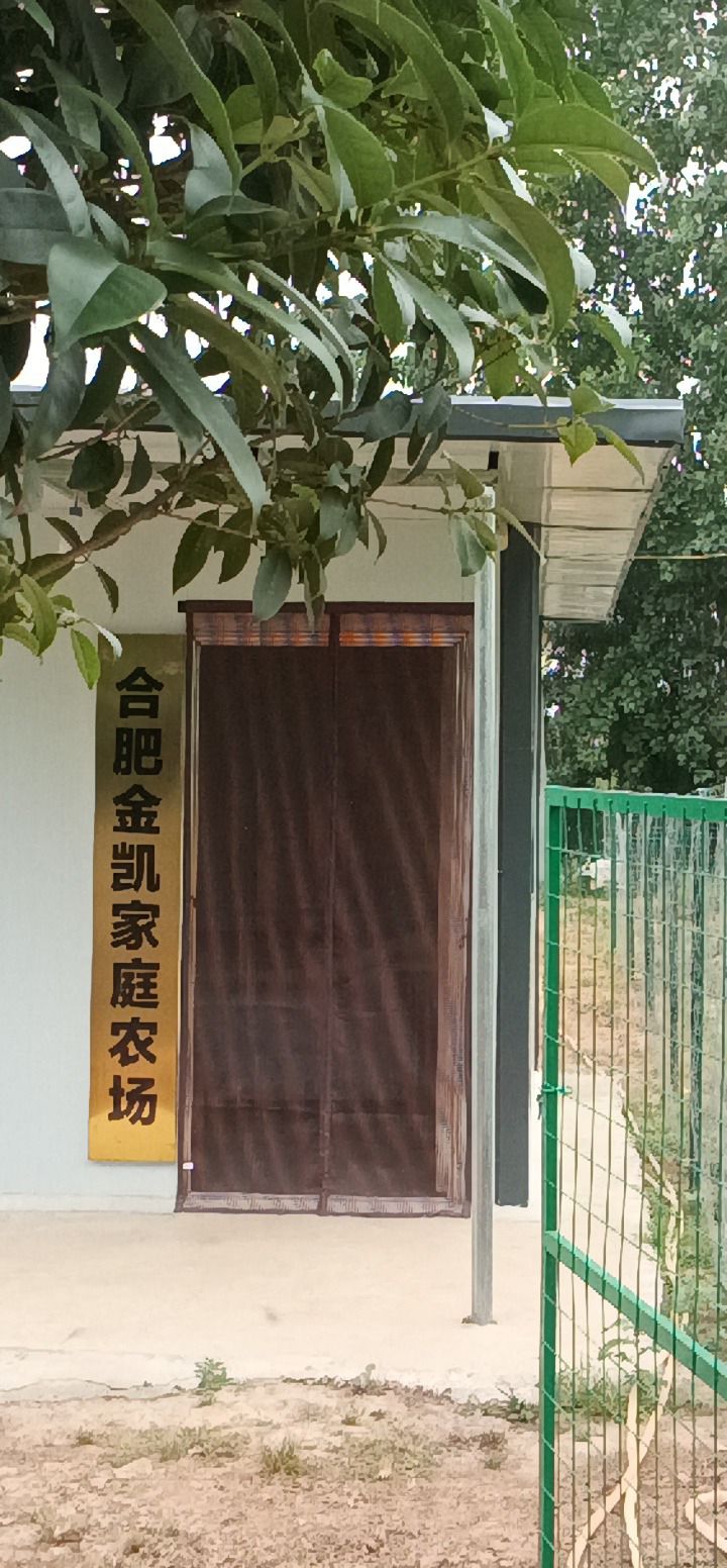 合肥金凯家庭农场