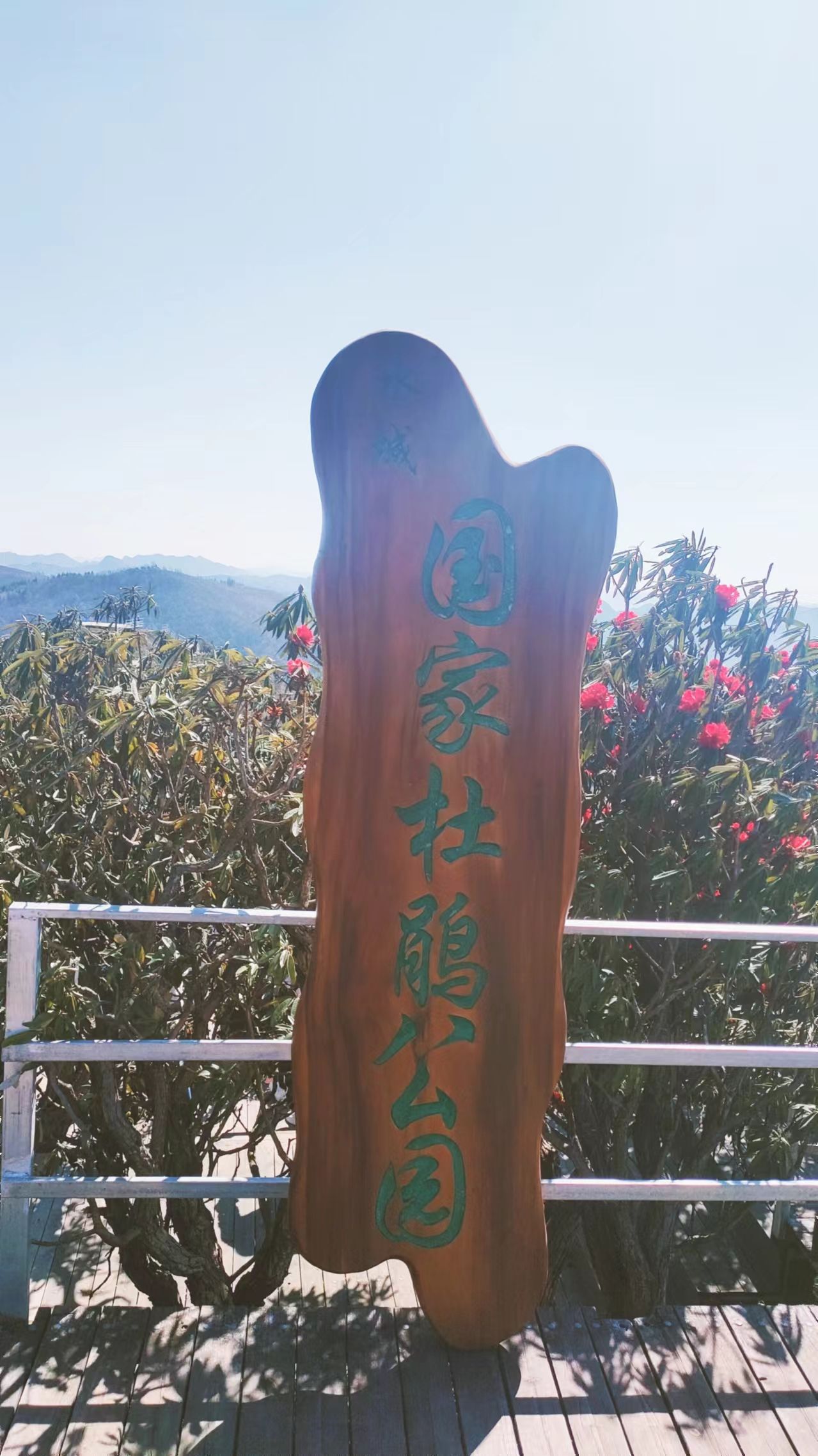 水城国家杜鹃公园