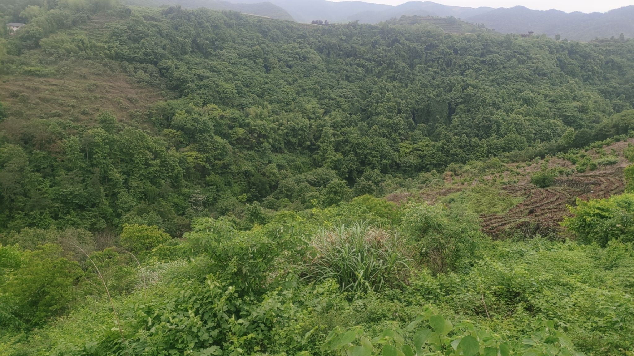 五龙潭大峡谷旅行图片 1